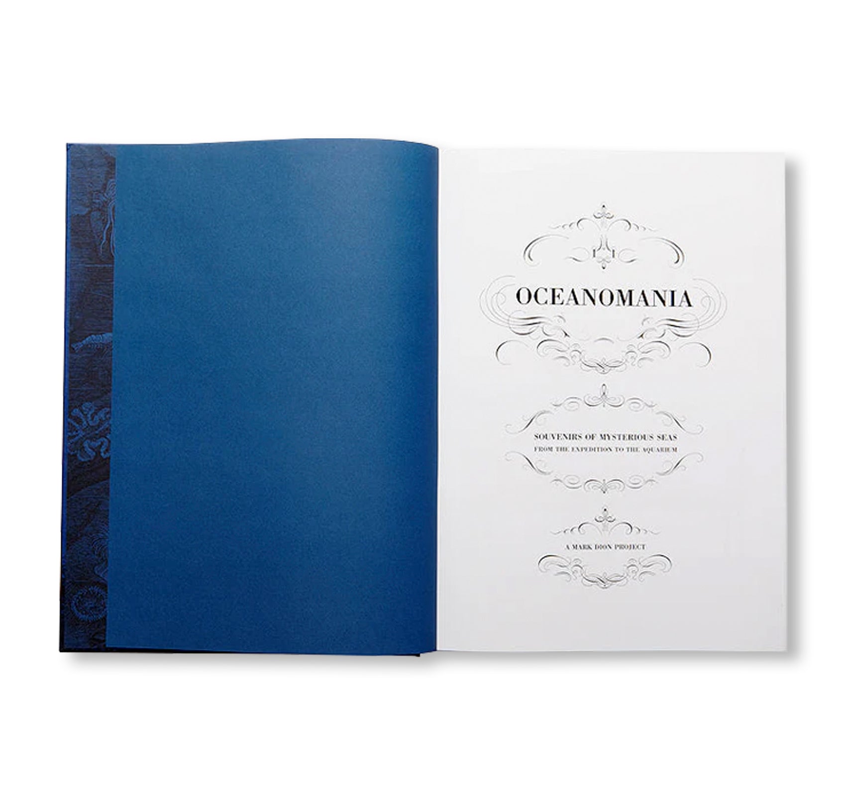 OCEANOMANIA by Mark Dion