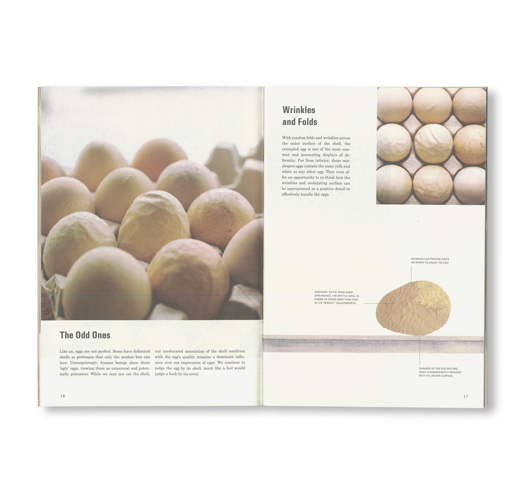 SCIENCE OF THE SECONDARY #07: EGG