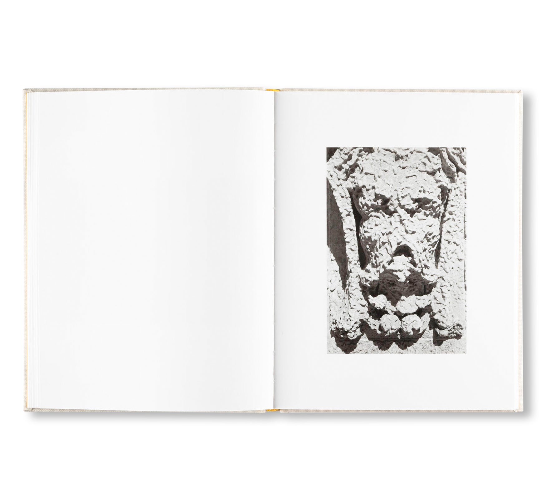 INSIEME by Irina Rozovsky, Mark Steinmetz