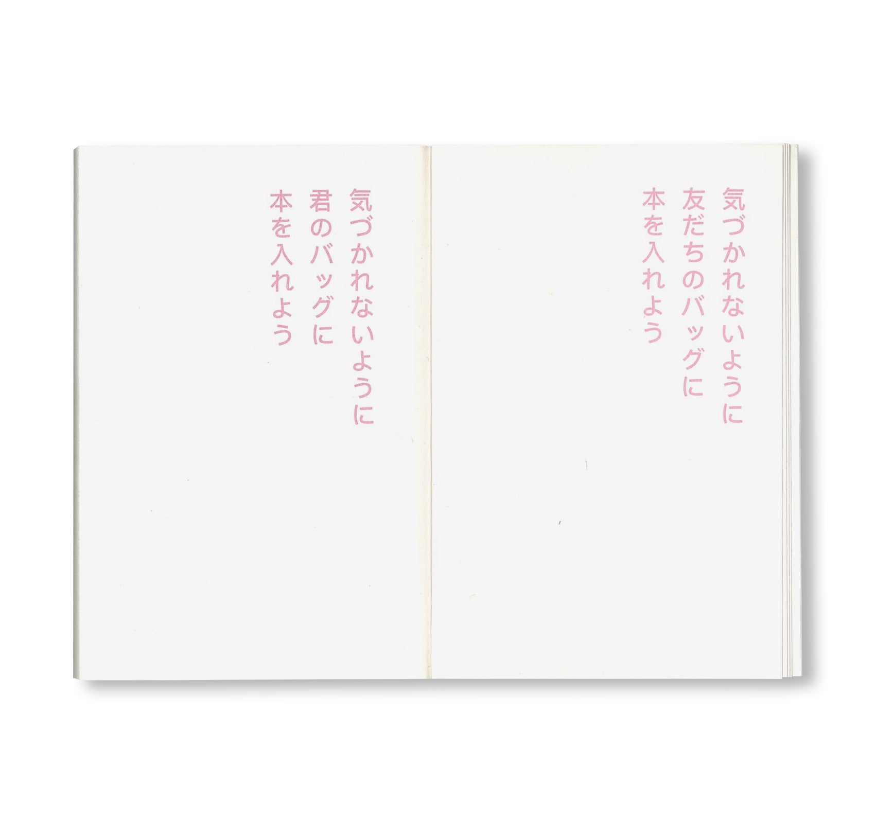 書店で万引きをする方法 by David Horvitz