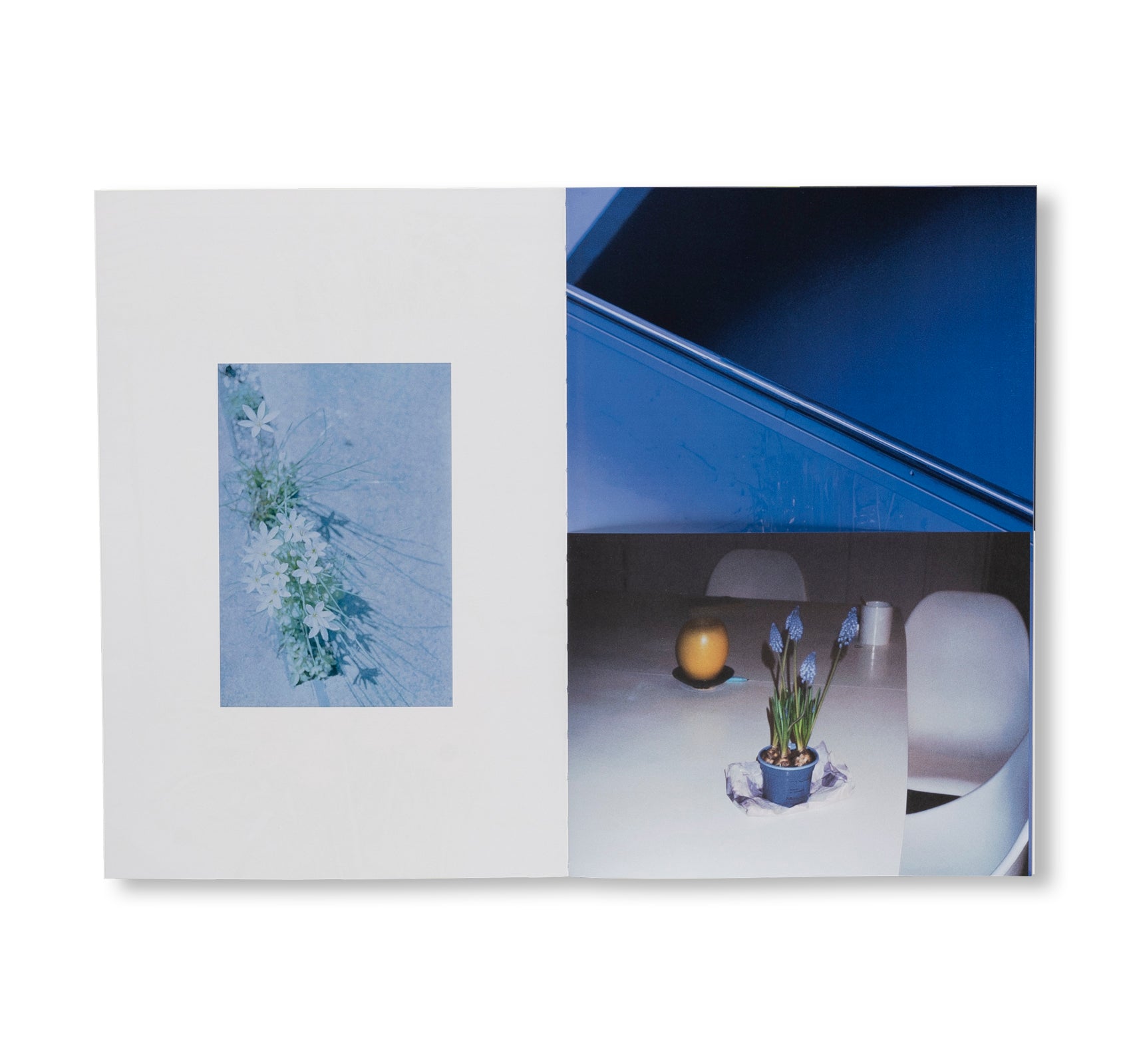 SEQUENCES by Yuichiro Noda