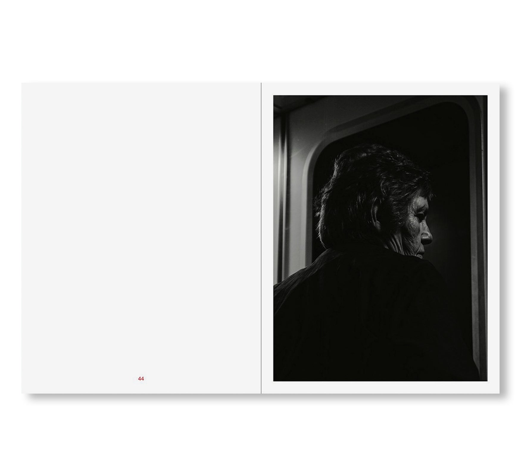 TIN LIZARDS by Robert LeBlanc