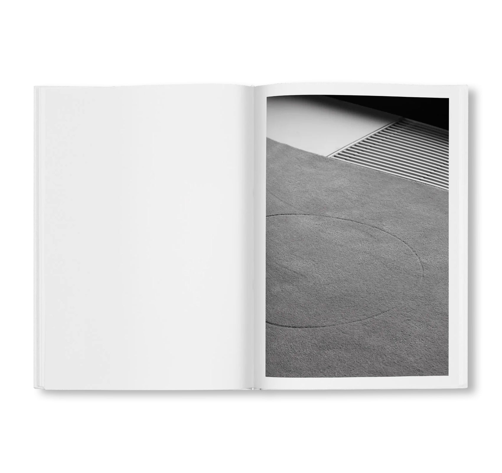 BÜROPFLANZE by Saskia Groneberg