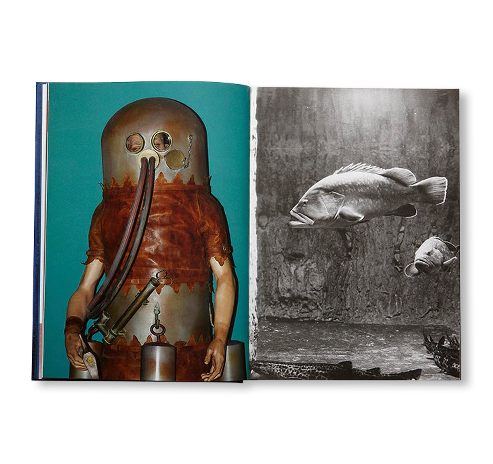 OCEANOMANIA by Mark Dion