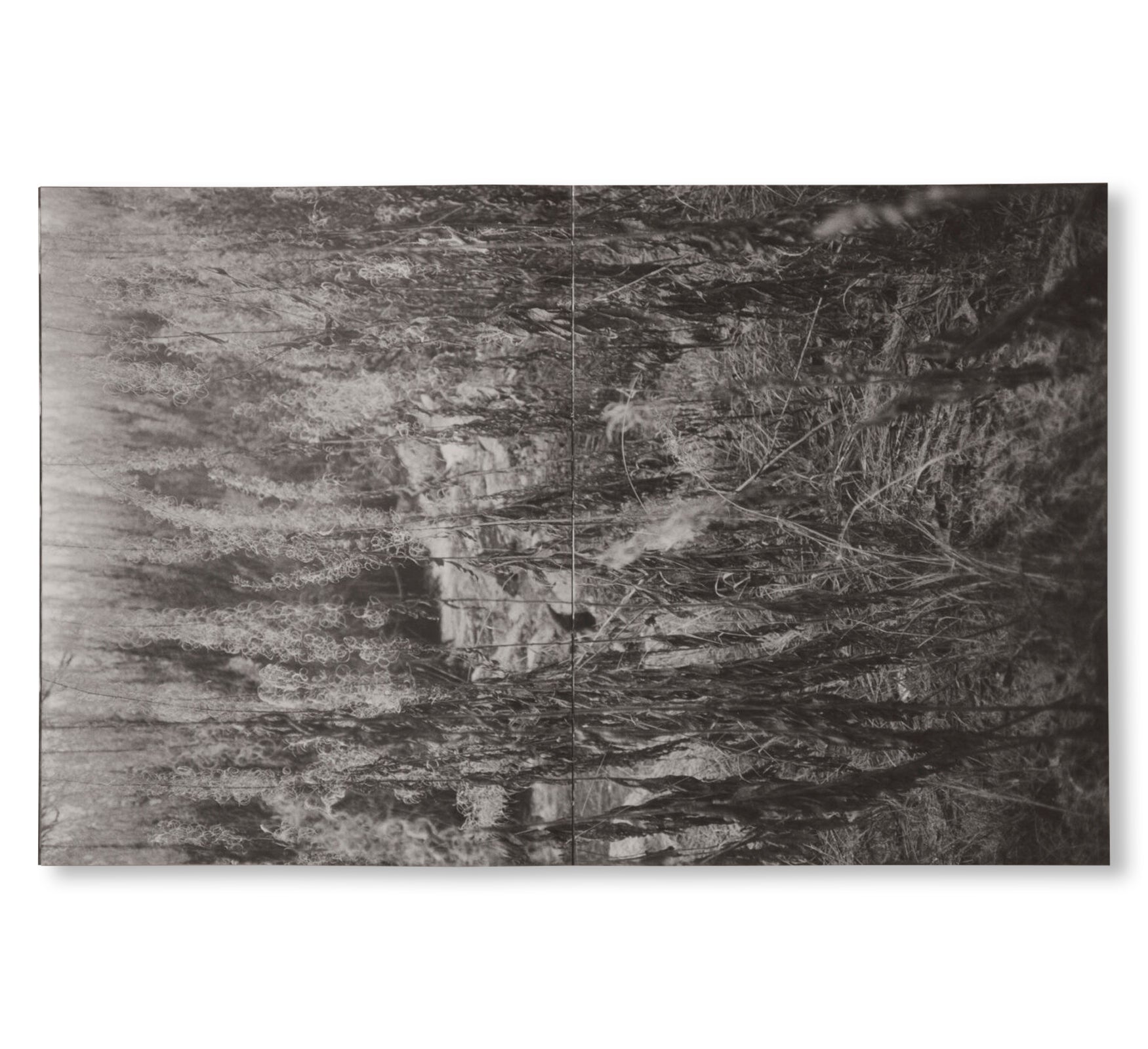 LA RONDE DES HIRONDELLES by Florence Cuschieri