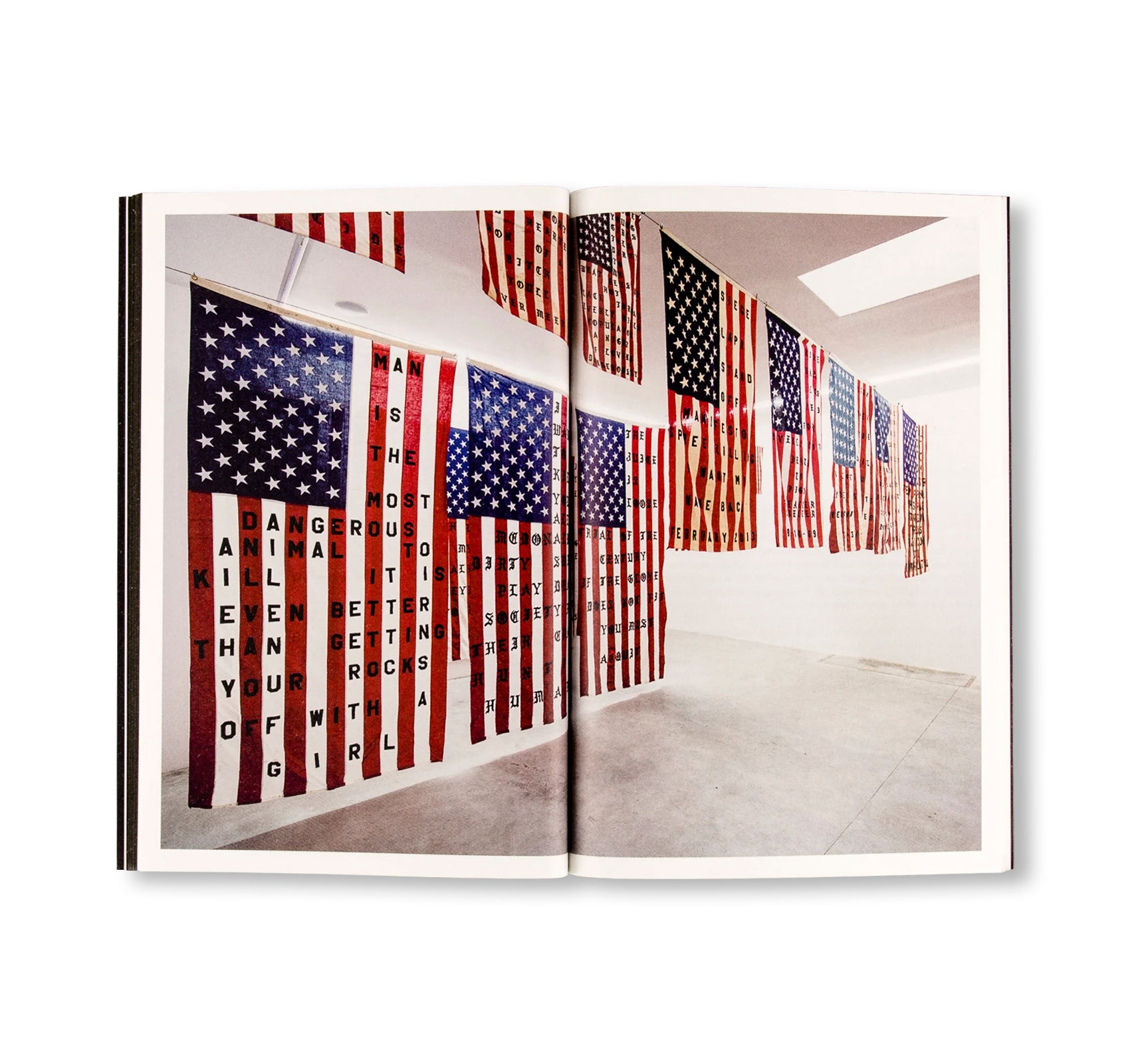 29 FLAGS by Cali Thornhill DeWitt