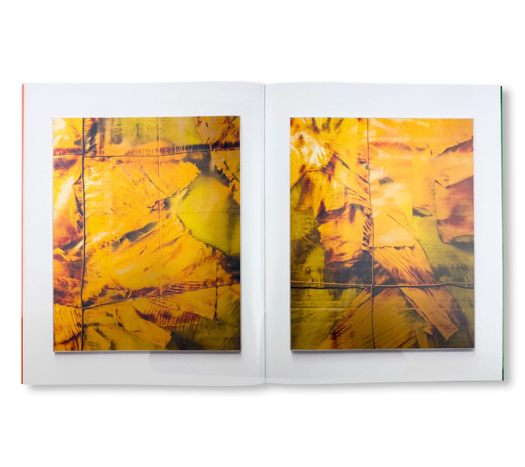 MUSA by Sybren Vanoverberghe