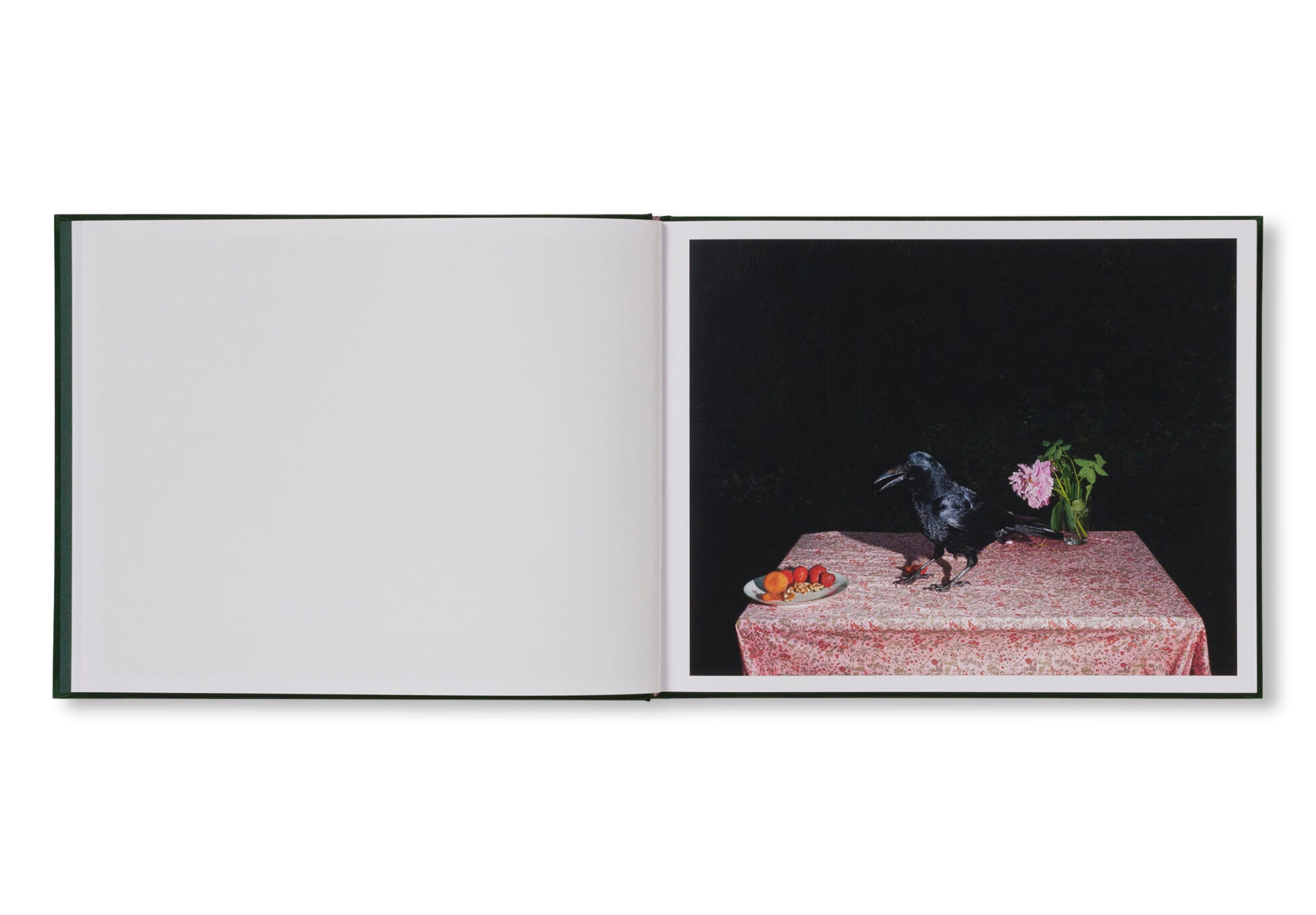 PLATES I-XXXI by Lia Darjes