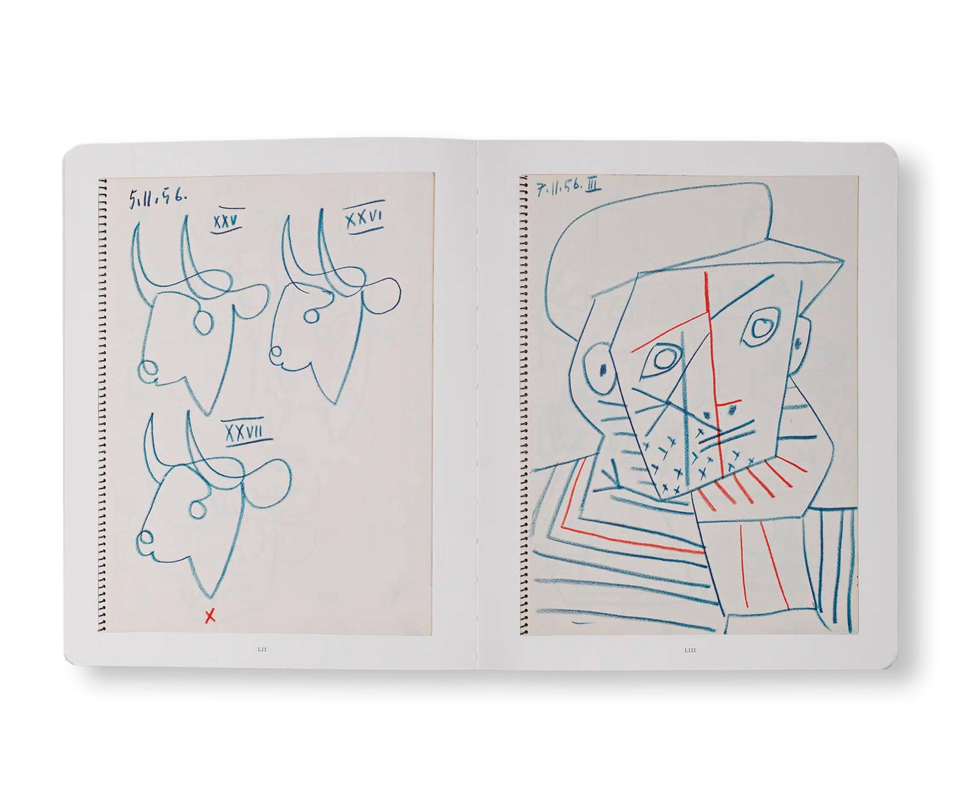 PICASSO: 14 SKETCHBOOKS by Pablo Picasso