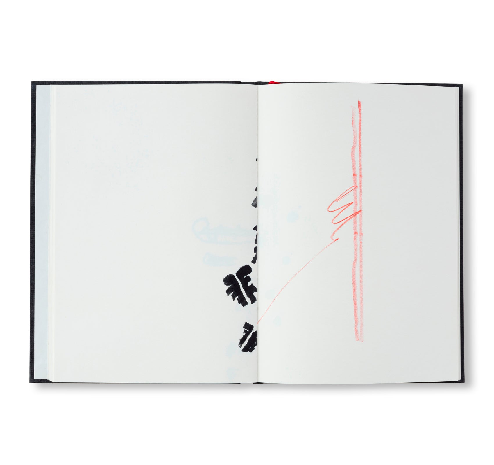 A DRAWING BOOK.... by Richard Tuttle