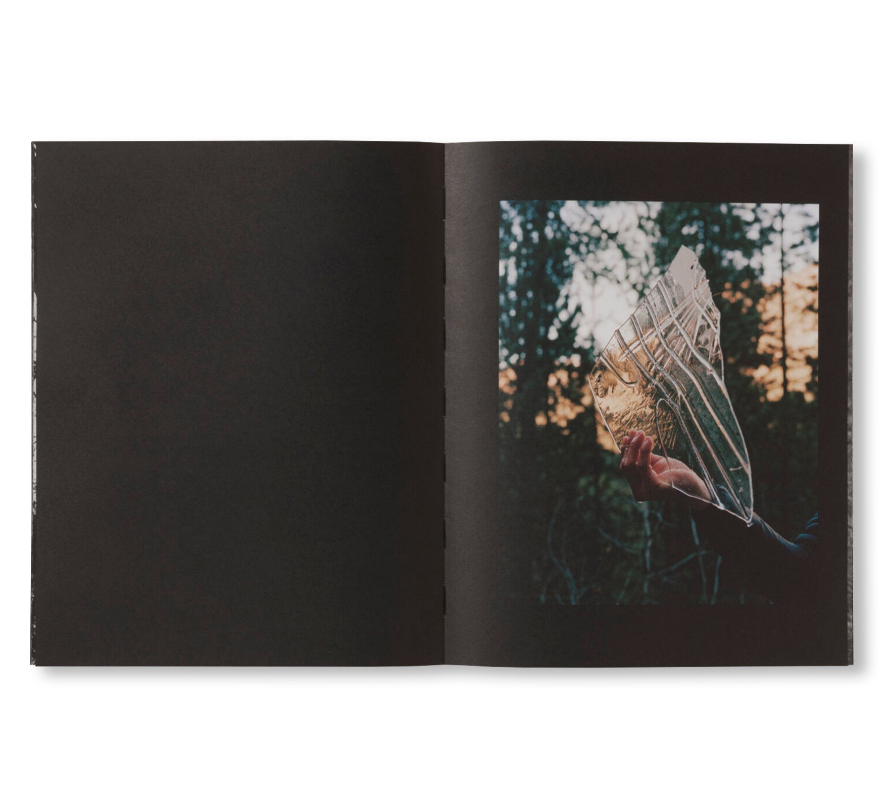 LA RONDE DES HIRONDELLES by Florence Cuschieri