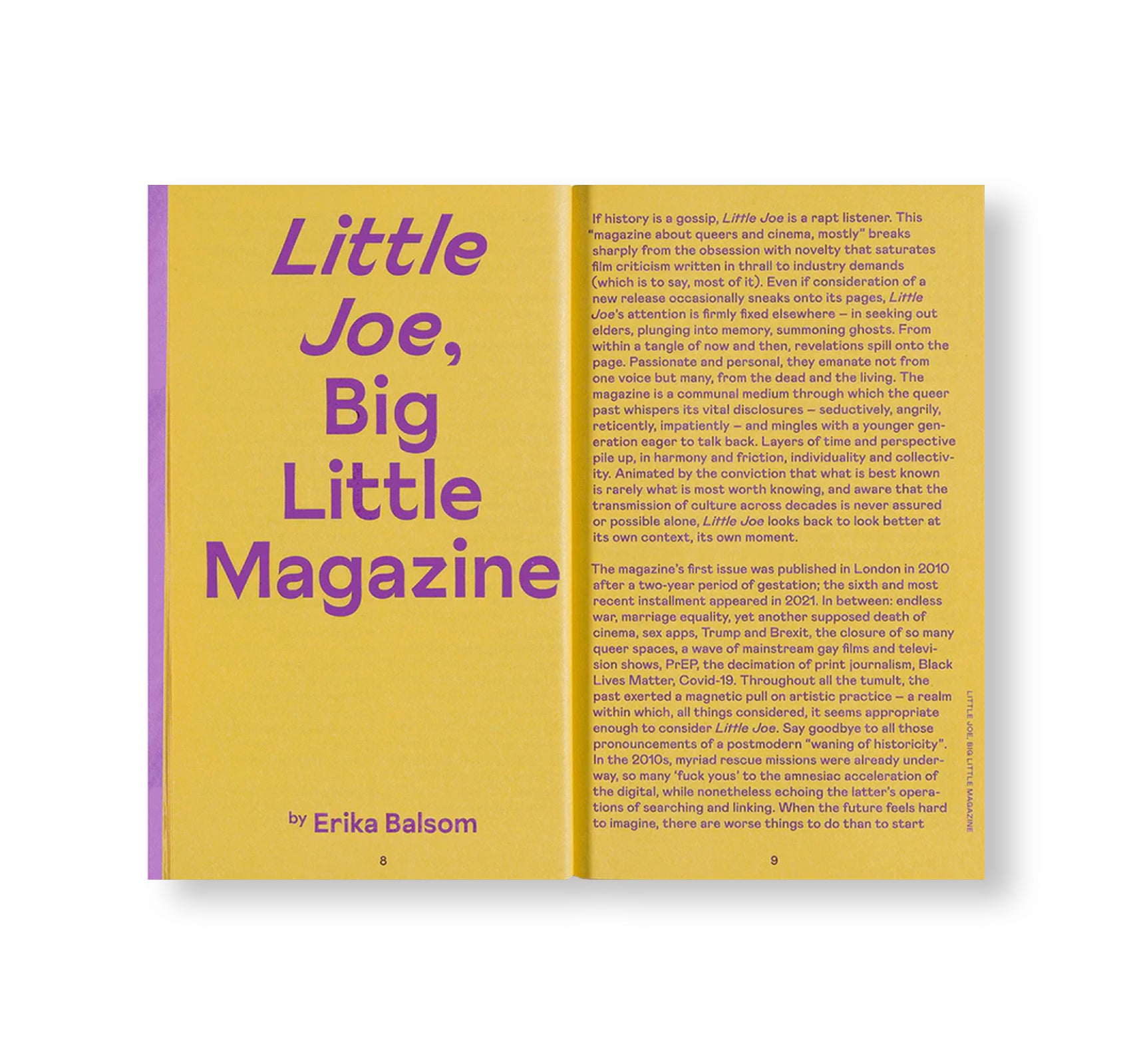 LITTLE JOE: A BOOK ABOUT QUEERS AND CINEMA, MOSTLY