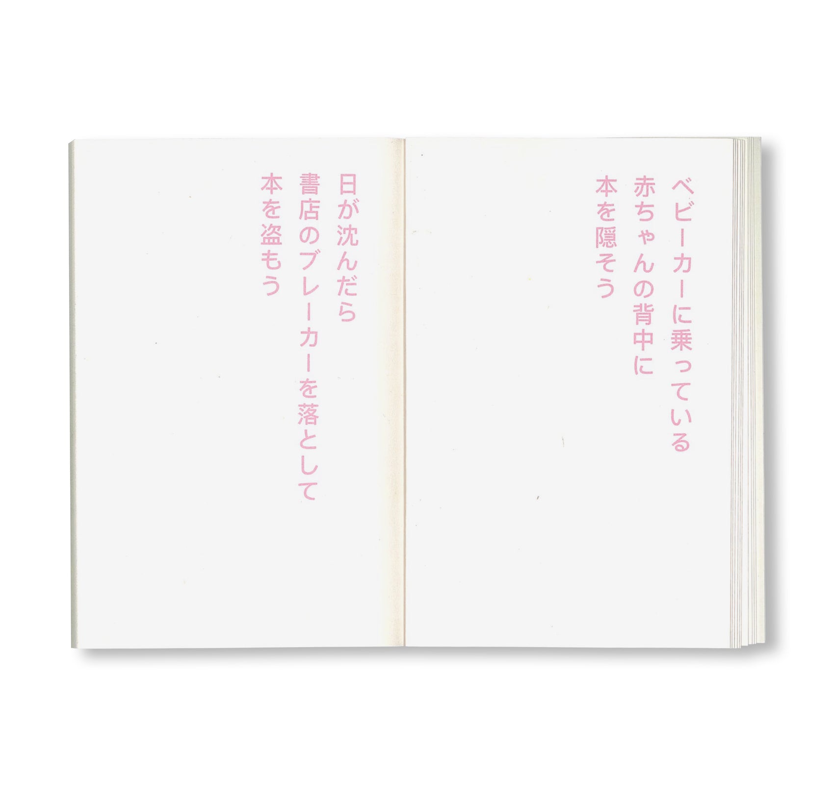 書店で万引きをする方法 by David Horvitz