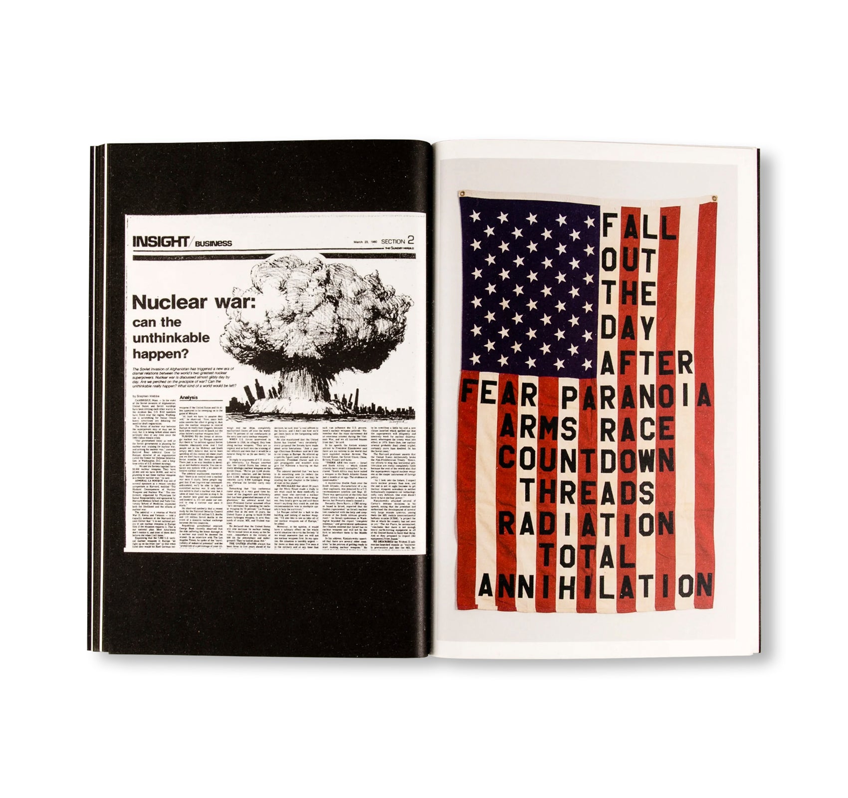 29 FLAGS by Cali Thornhill DeWitt