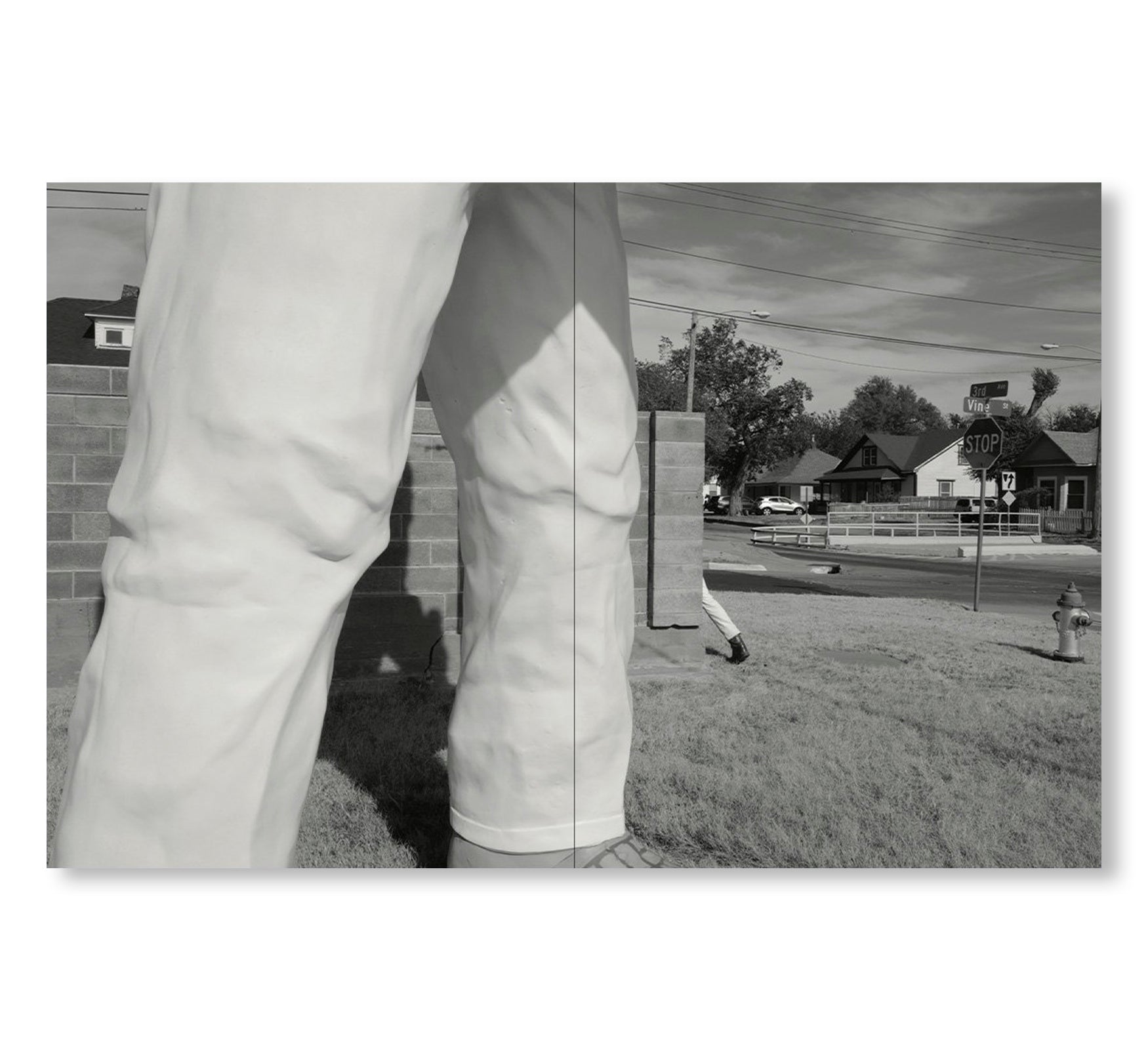 TIN LIZARDS by Robert LeBlanc