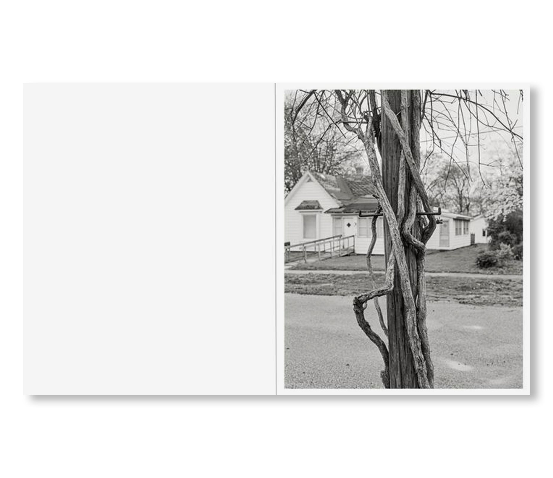 LITTLE by Tim Carpenter