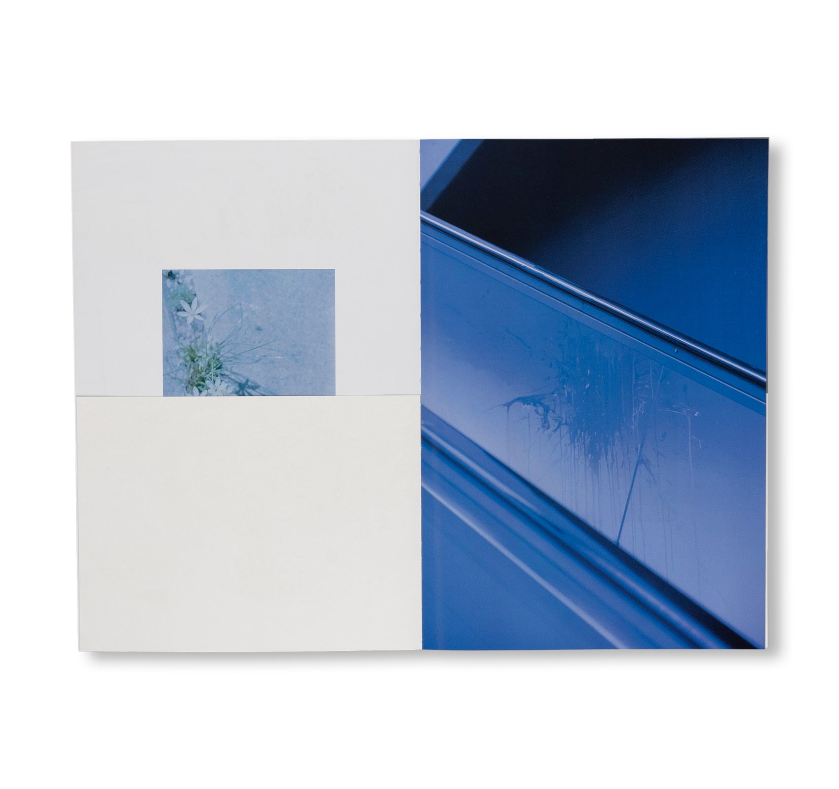 SEQUENCES by Yuichiro Noda