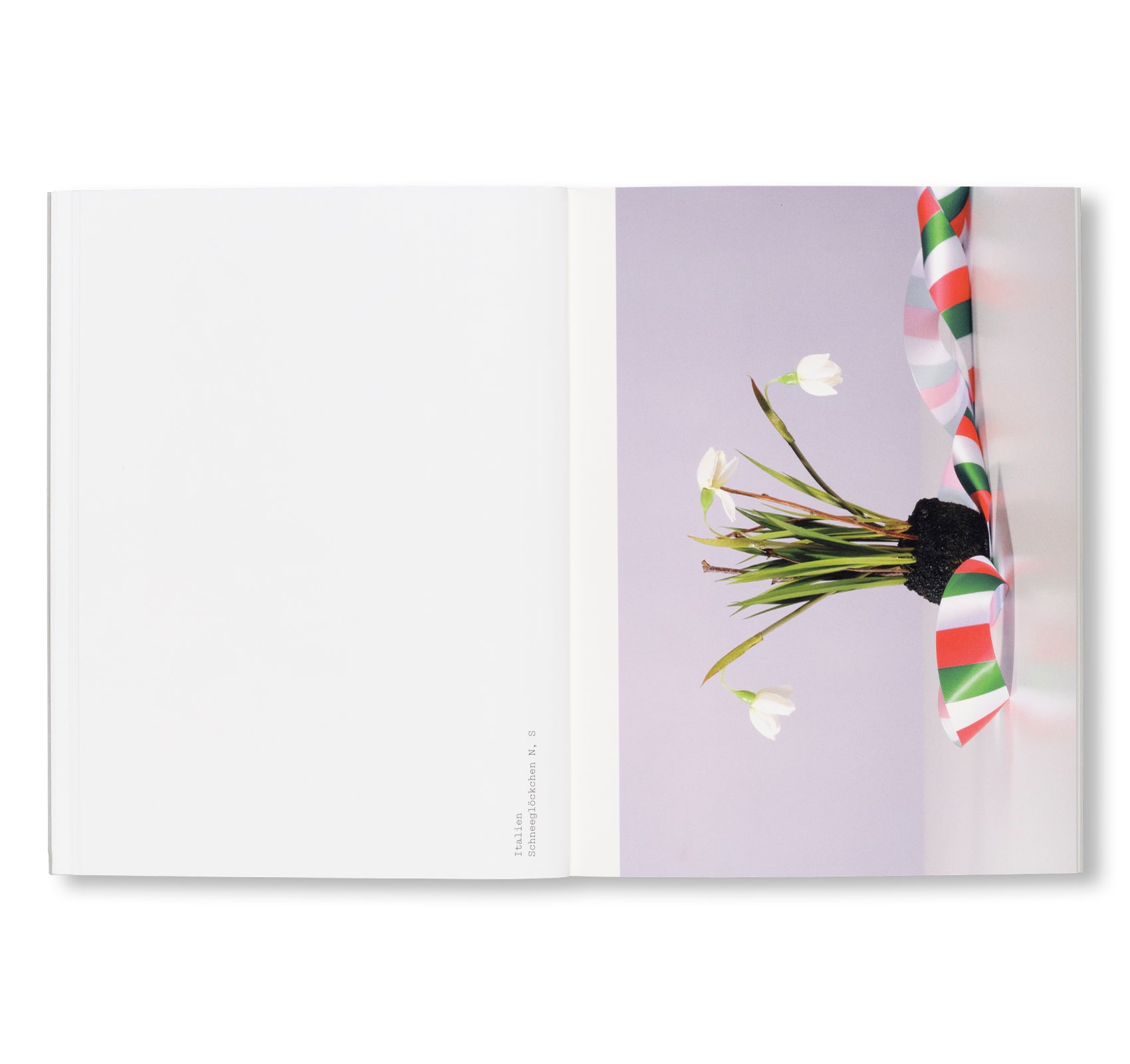 FLEUROP by Sebastian Utzni