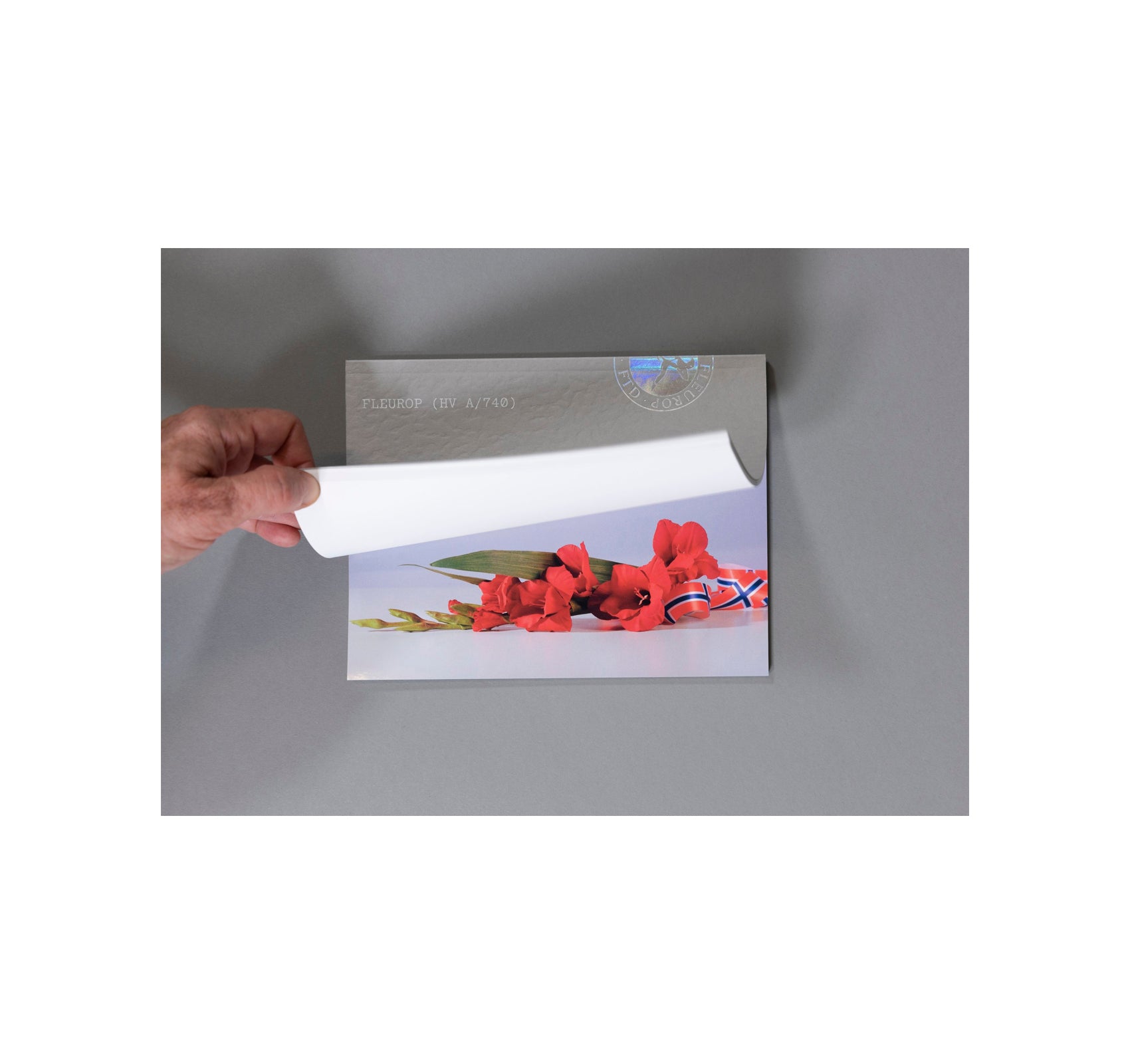 FLEUROP by Sebastian Utzni