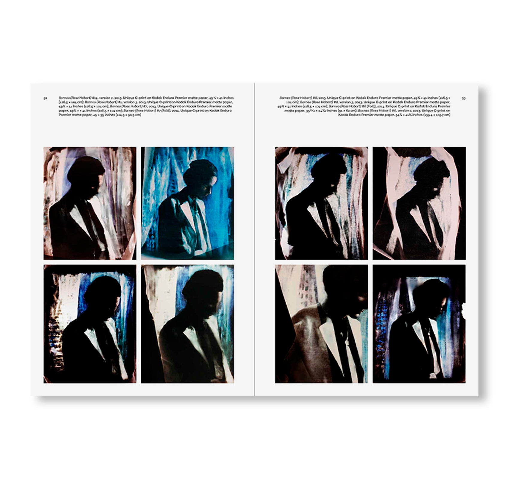 POEMS OF OUR CLIMATE by Matt Saunders