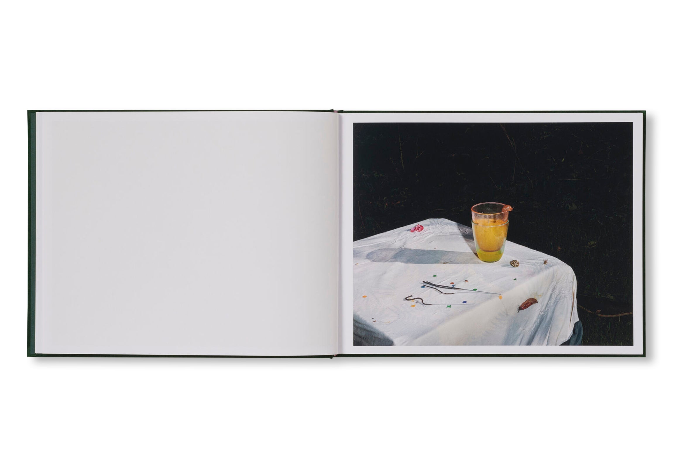 PLATES I-XXXI by Lia Darjes