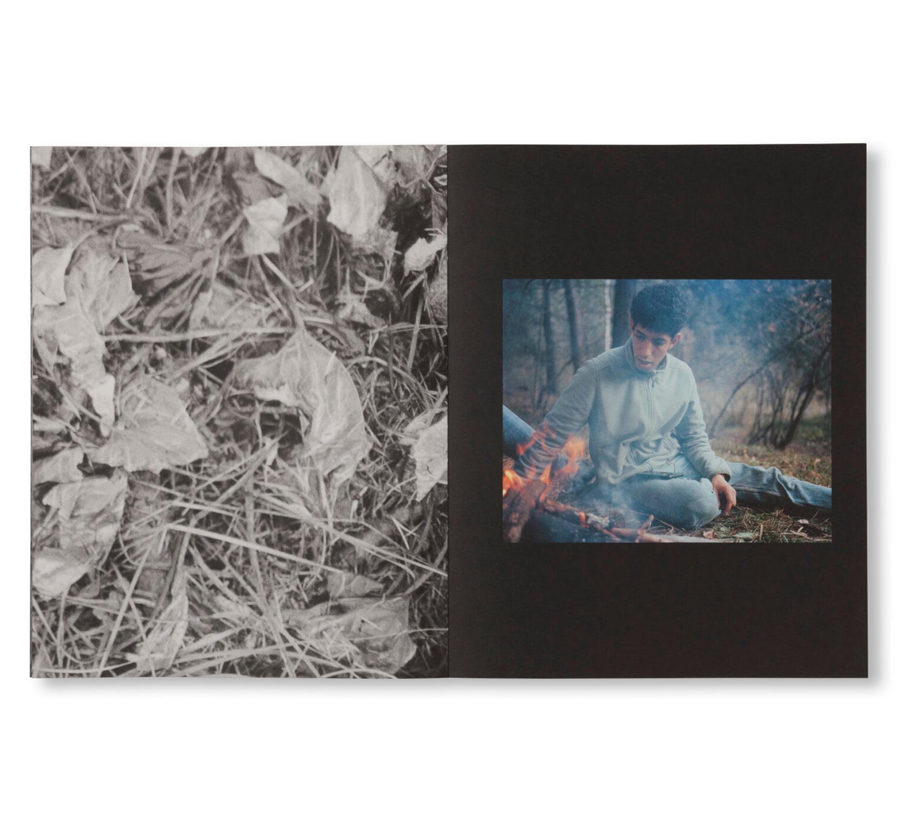 LA RONDE DES HIRONDELLES by Florence Cuschieri