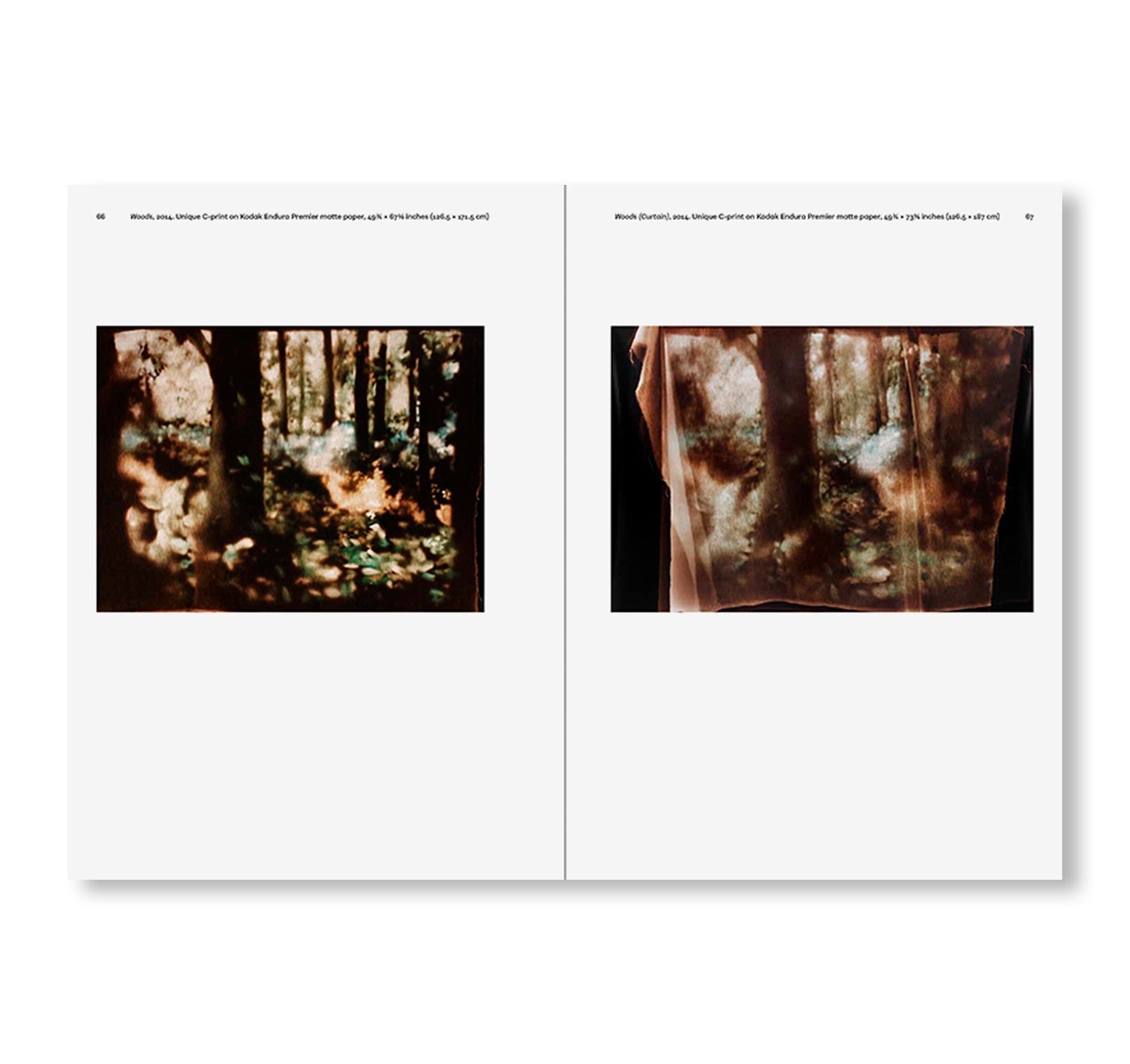 POEMS OF OUR CLIMATE by Matt Saunders