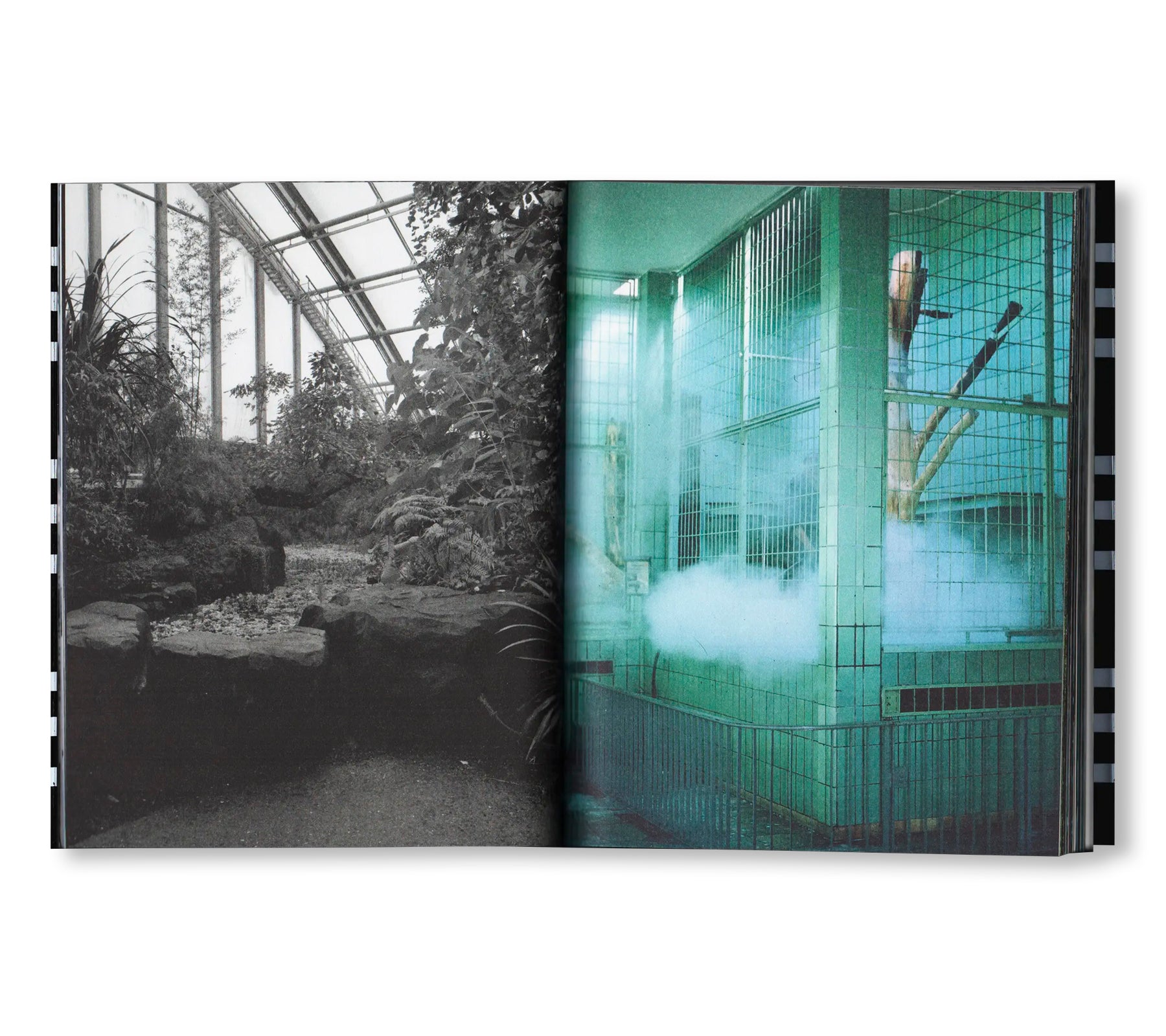 GEHEGE by Sara Arzu Hardegger, Vanja Ivana Jelić