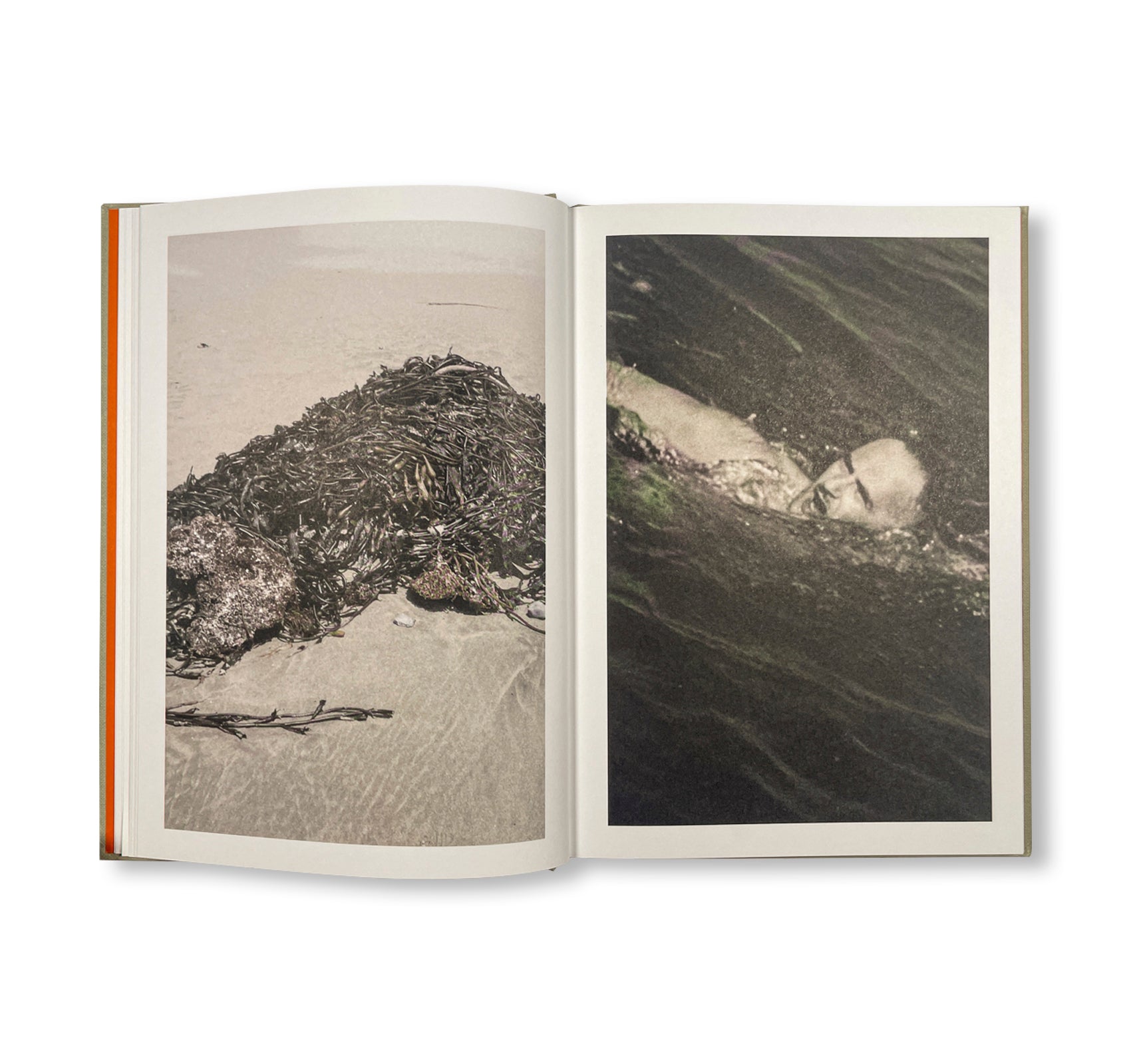 THE LOTTERY by Melissa Catanese