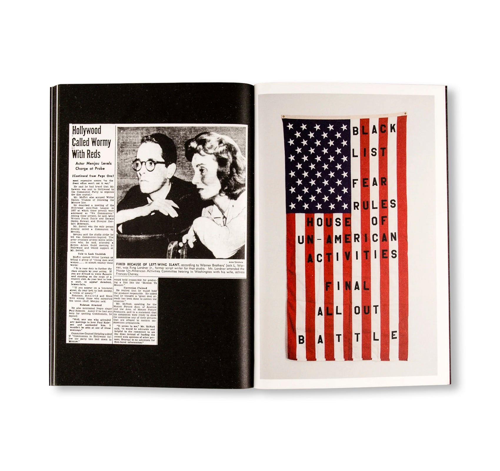 29 FLAGS by Cali Thornhill DeWitt