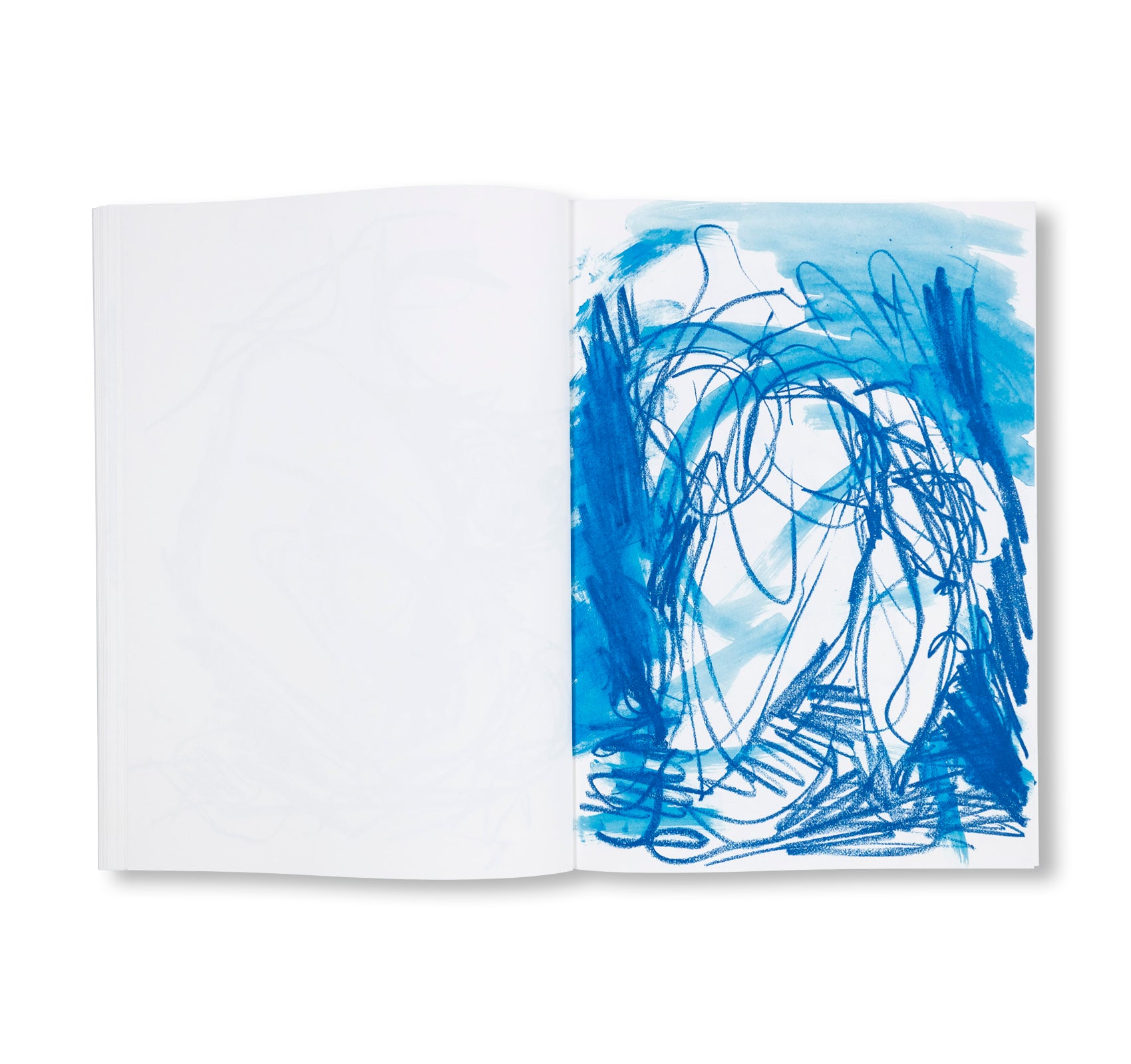 NOT QUITE GOOD ENOUGH TO BE ON TV HARMONIES by Joanne Robertson