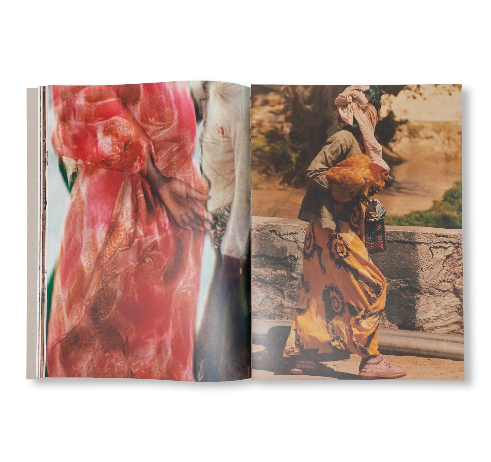 THE BRIDGE OF BULBULA by Quentin de Briey, Achraf Issami