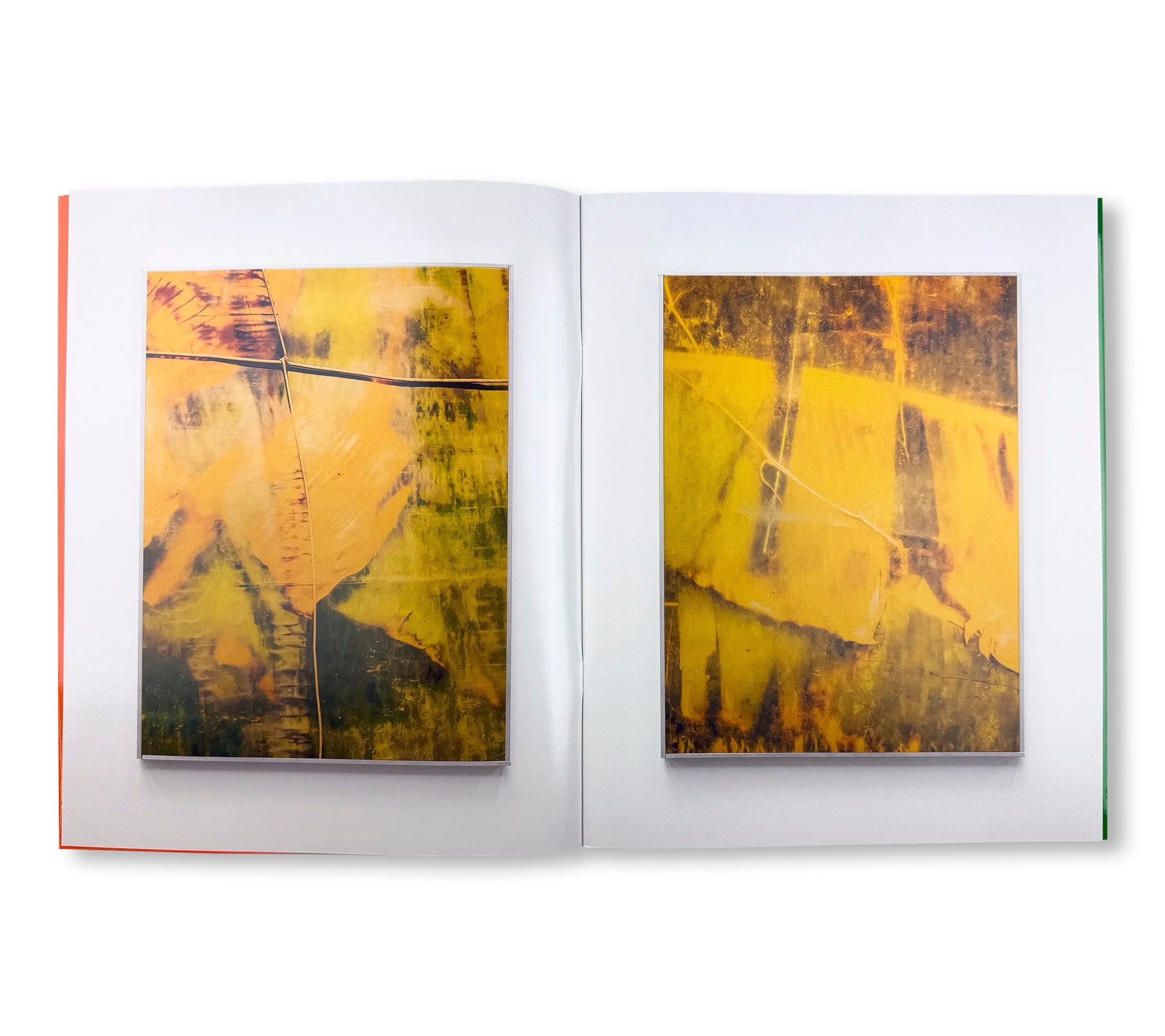 MUSA by Sybren Vanoverberghe