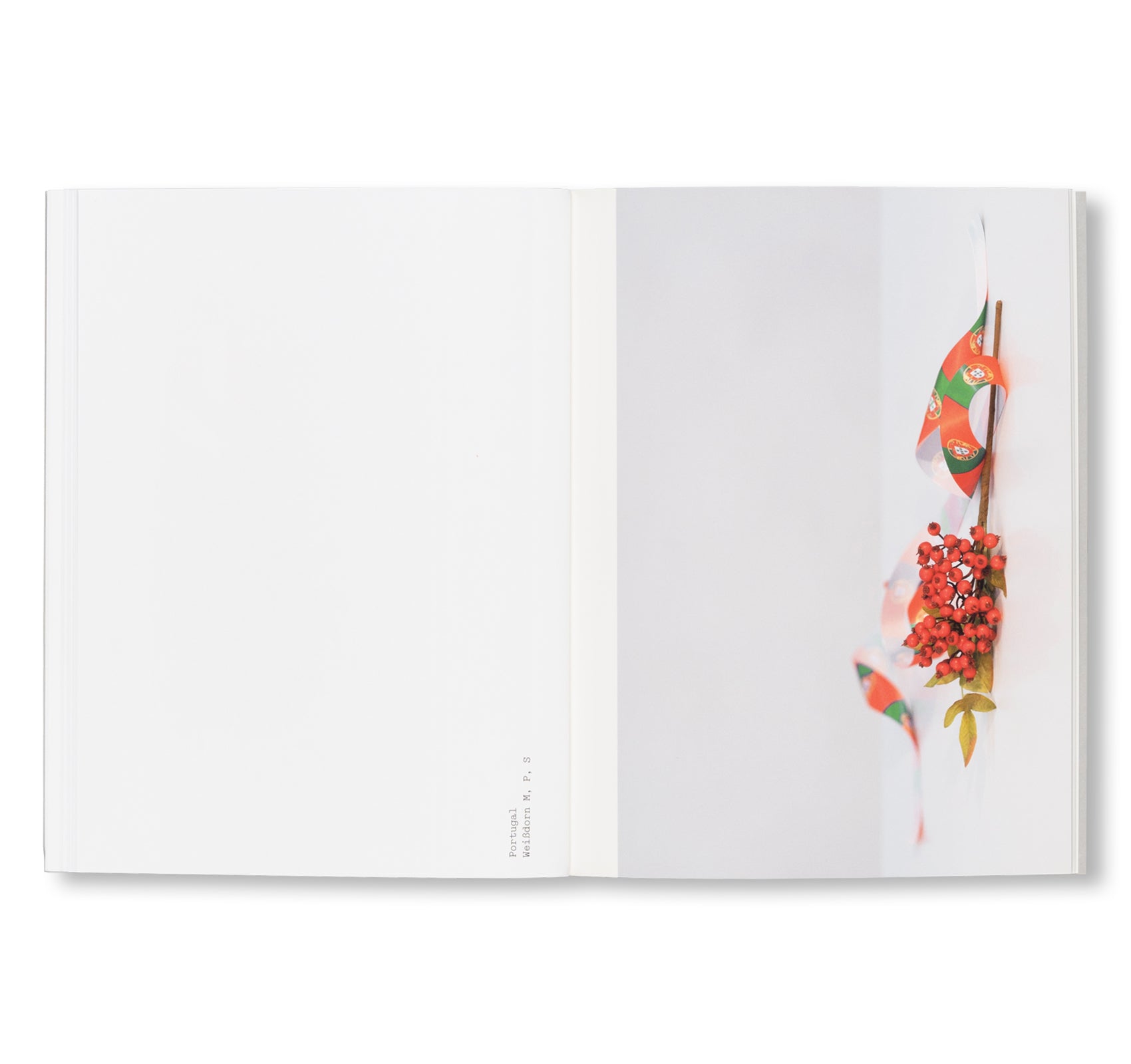 FLEUROP by Sebastian Utzni