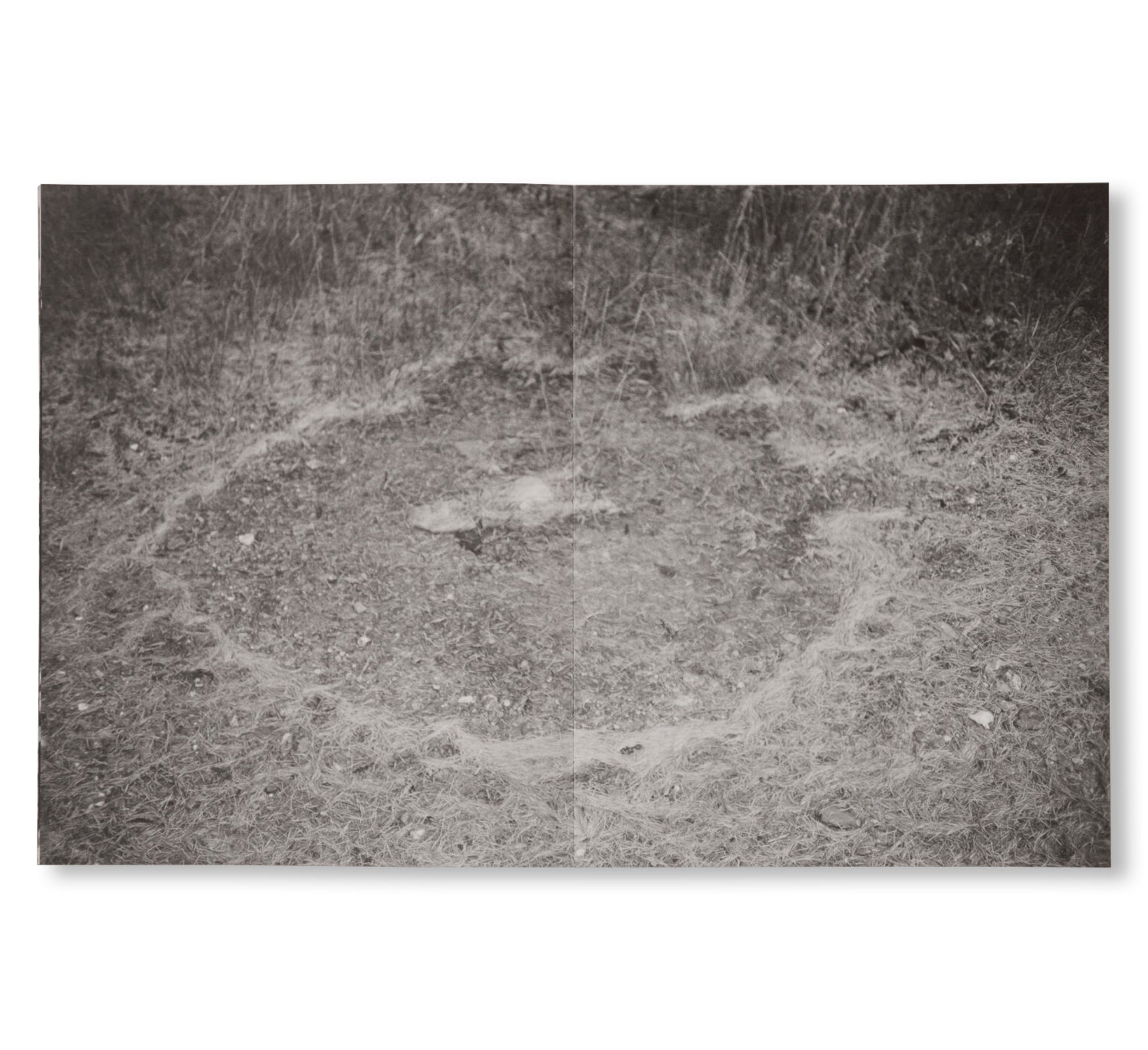 LA RONDE DES HIRONDELLES by Florence Cuschieri