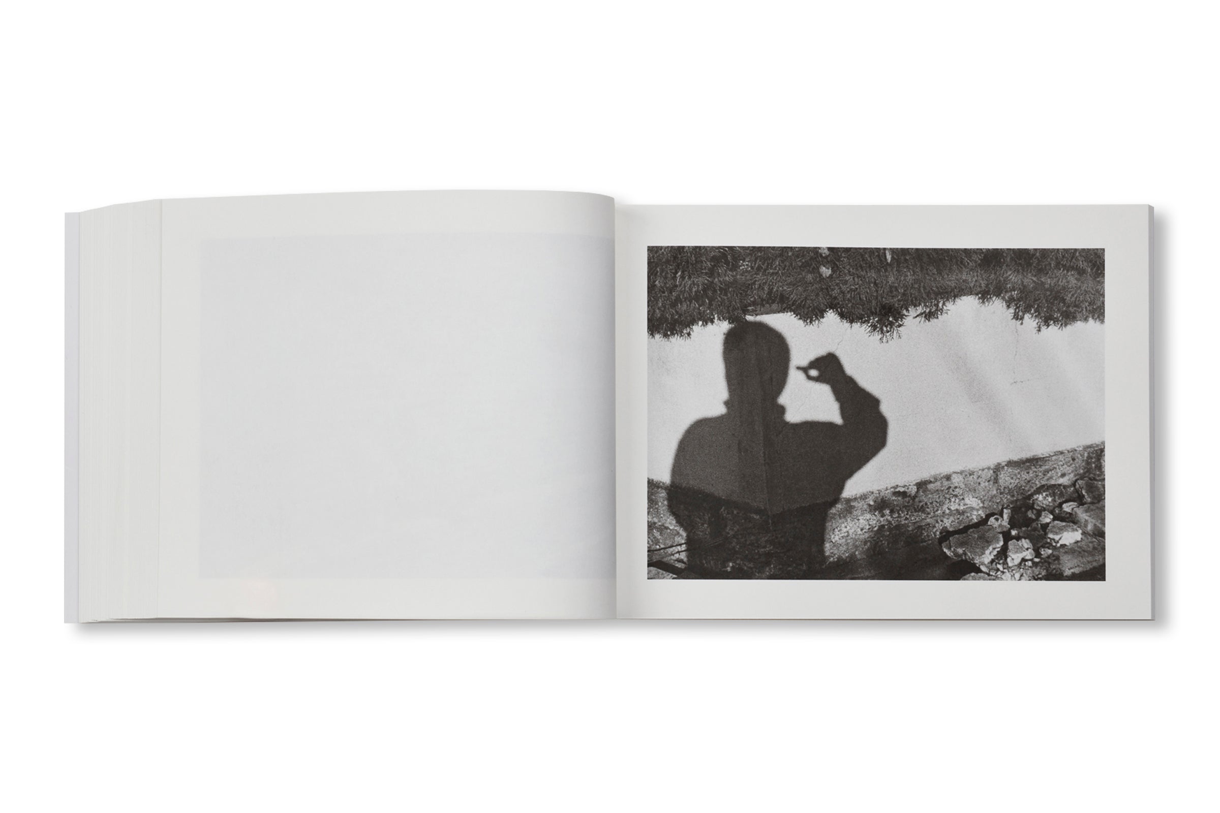 FAMILY DIARY by Issei Suda