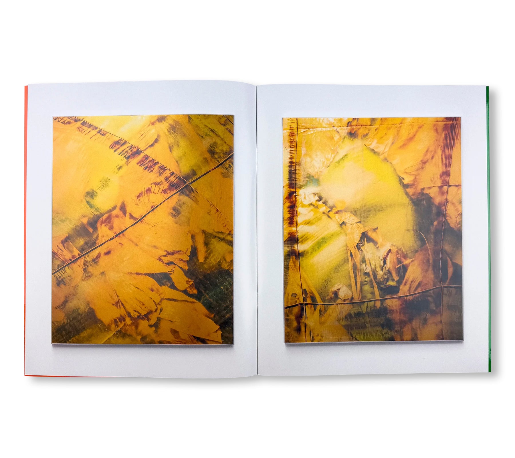 MUSA by Sybren Vanoverberghe