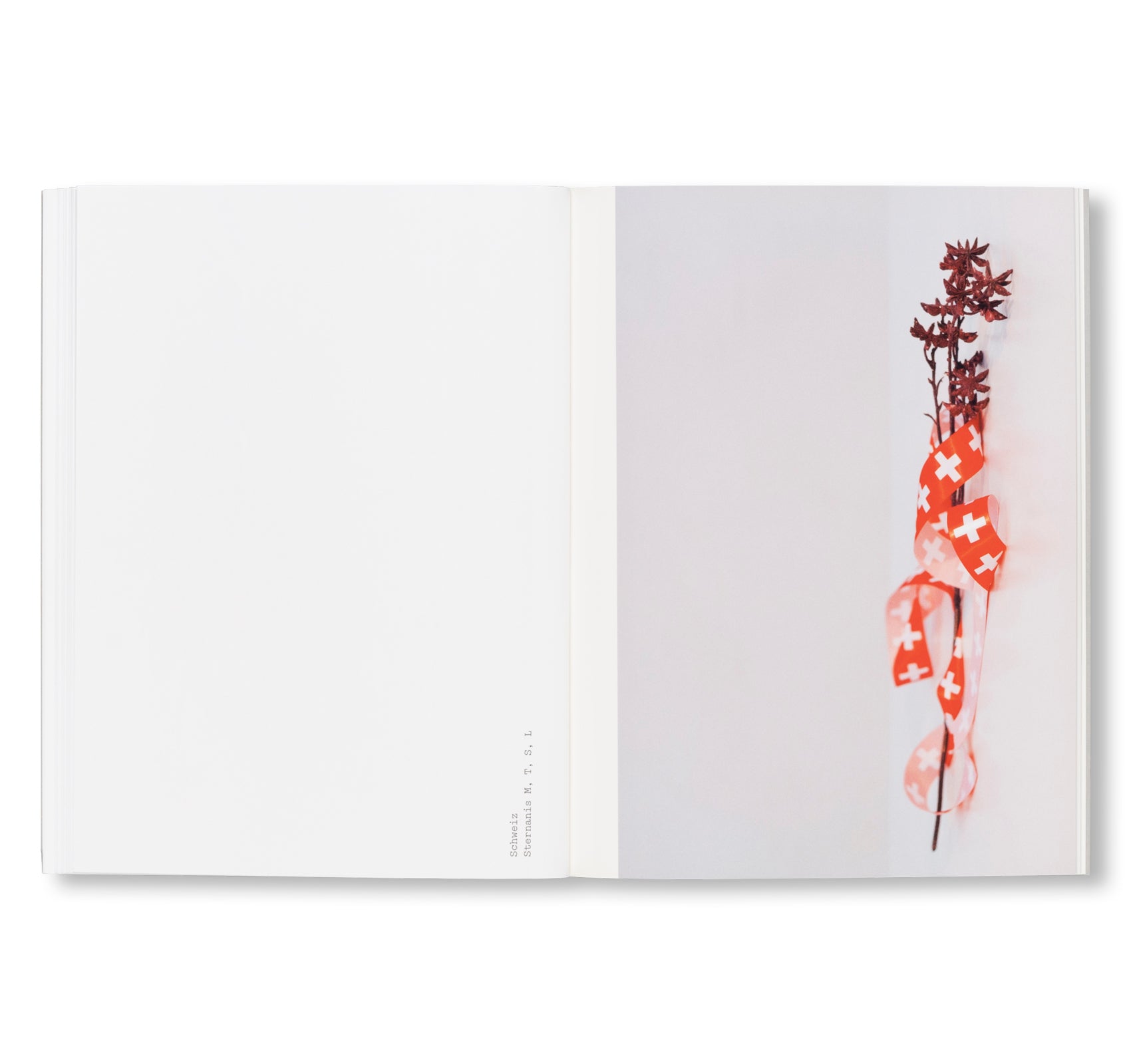 FLEUROP by Sebastian Utzni