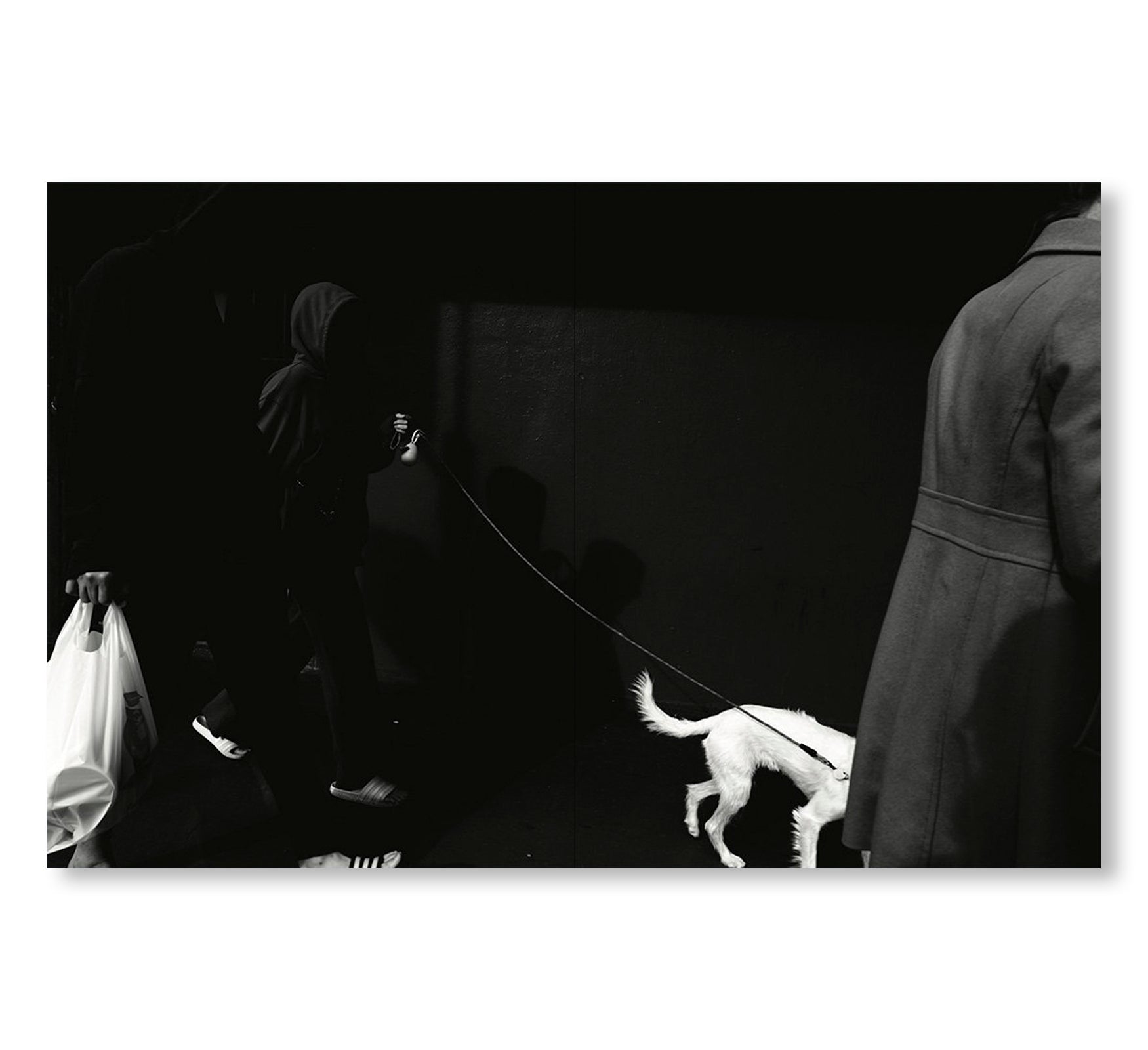 TIN LIZARDS by Robert LeBlanc