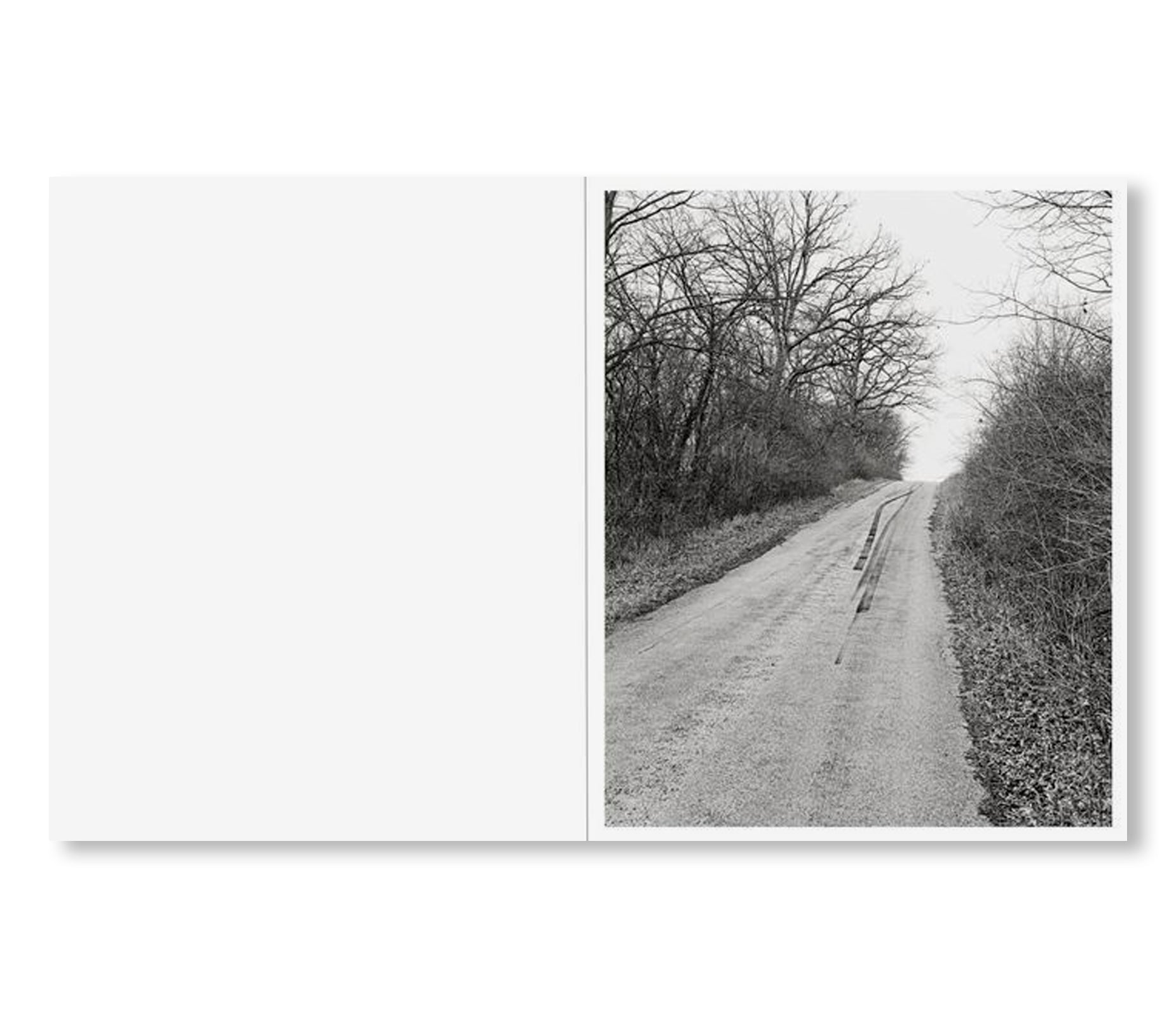 LITTLE by Tim Carpenter