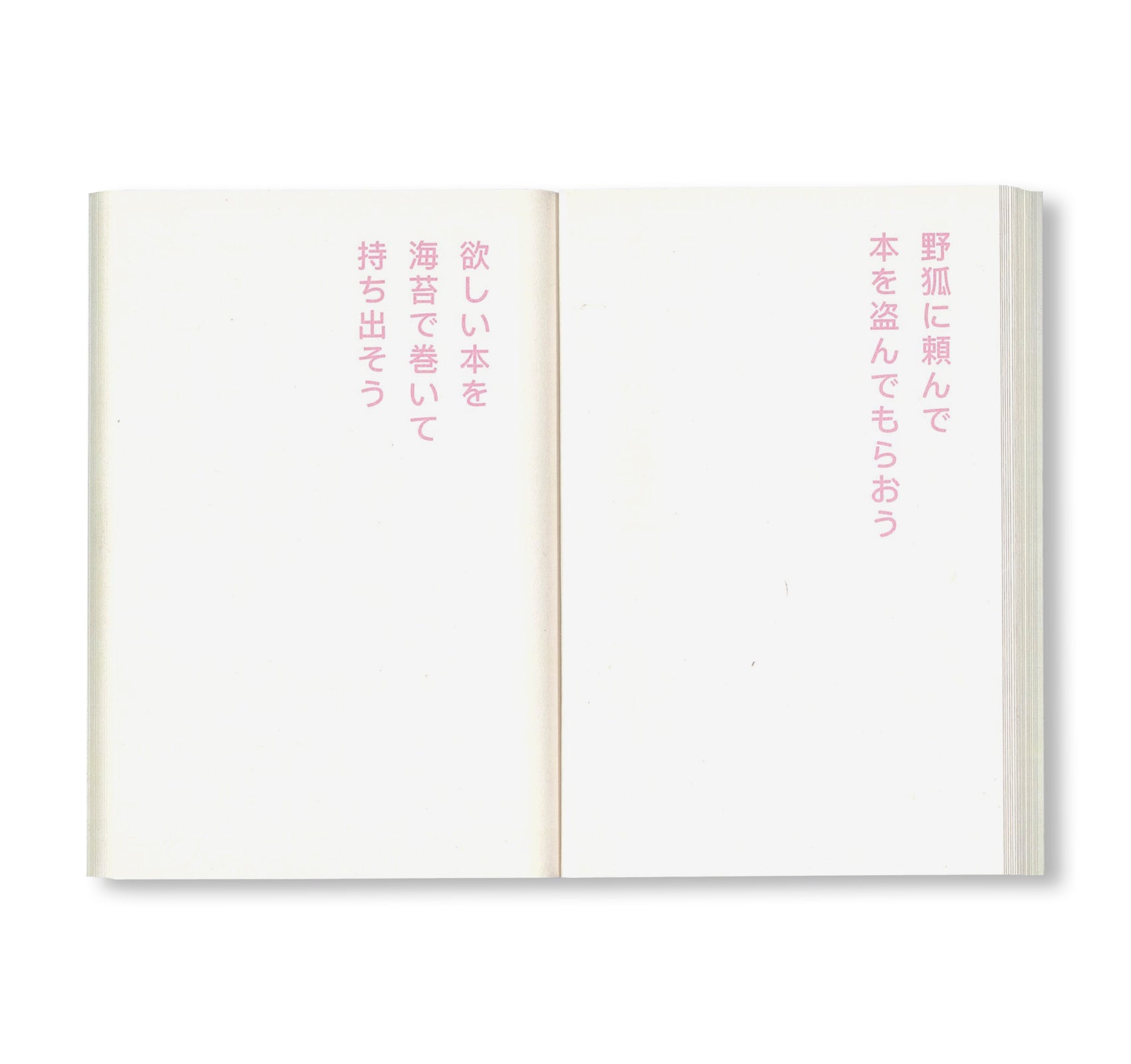 書店で万引きをする方法 by David Horvitz