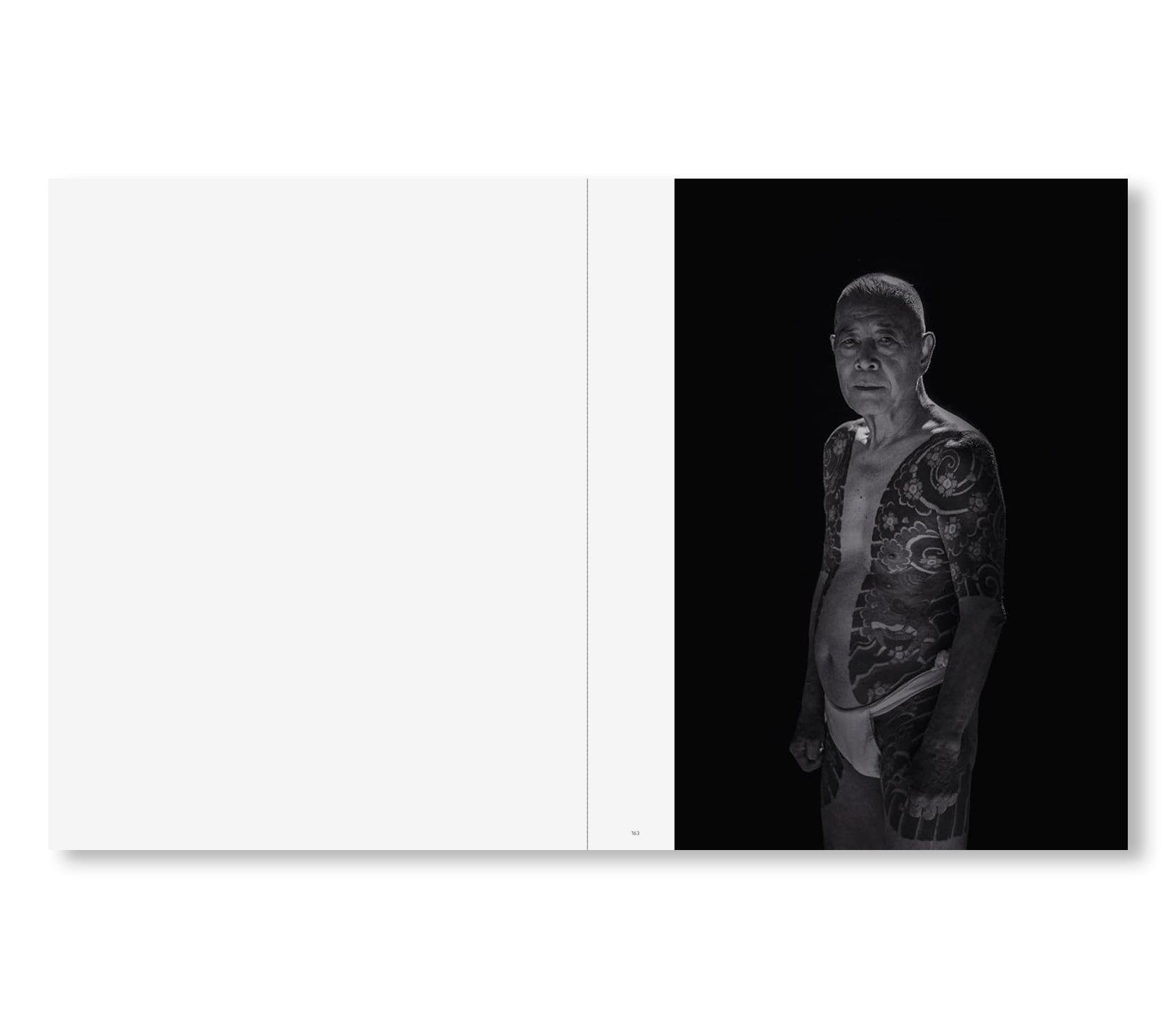 SAKIKO NOMURA: TENDER IS THE NIGHT by Sakiko Nomura