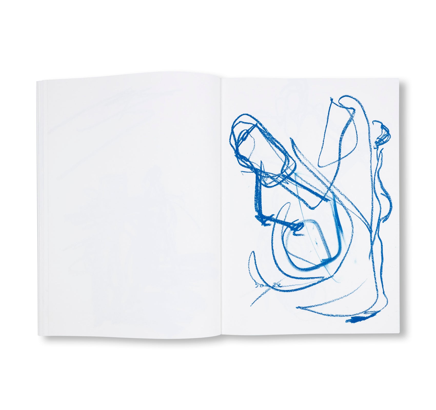 NOT QUITE GOOD ENOUGH TO BE ON TV HARMONIES by Joanne Robertson