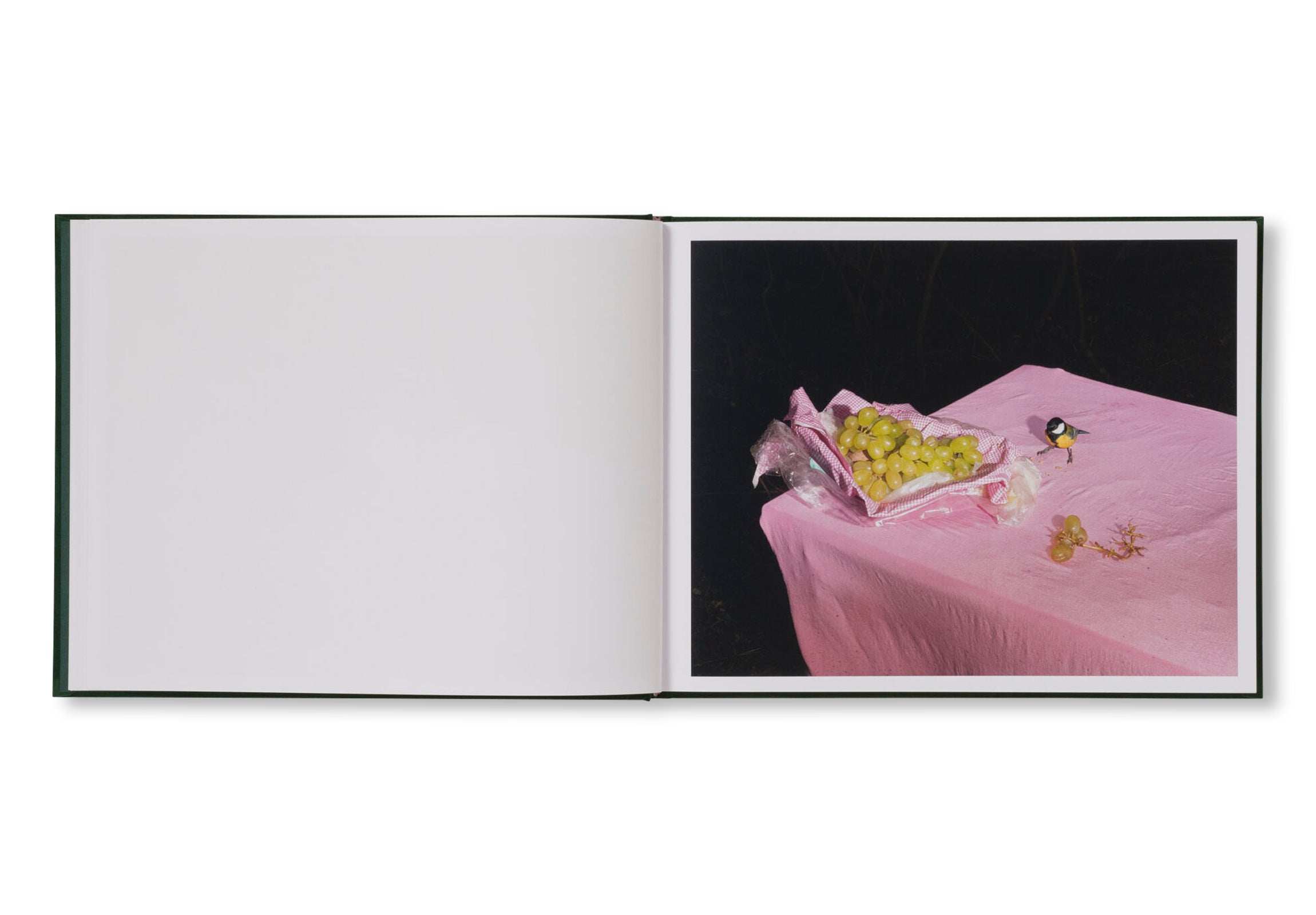 PLATES I-XXXI by Lia Darjes