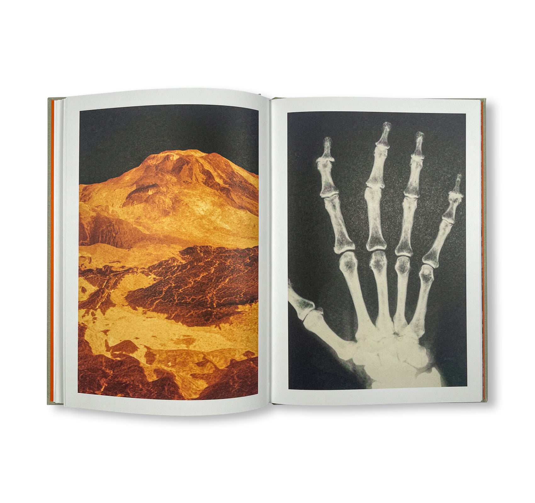 THE LOTTERY by Melissa Catanese