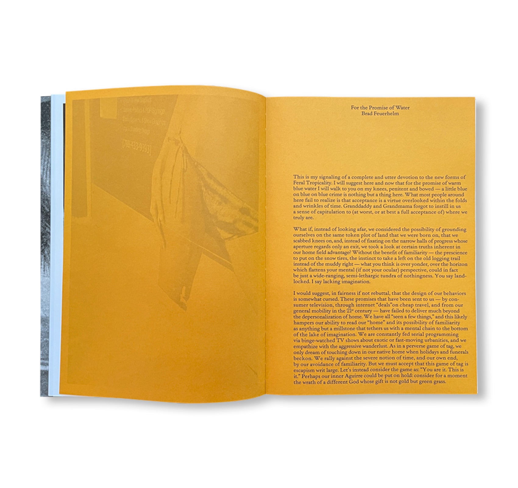 OCEAN FRONT PROPERTY by Mark Templeton