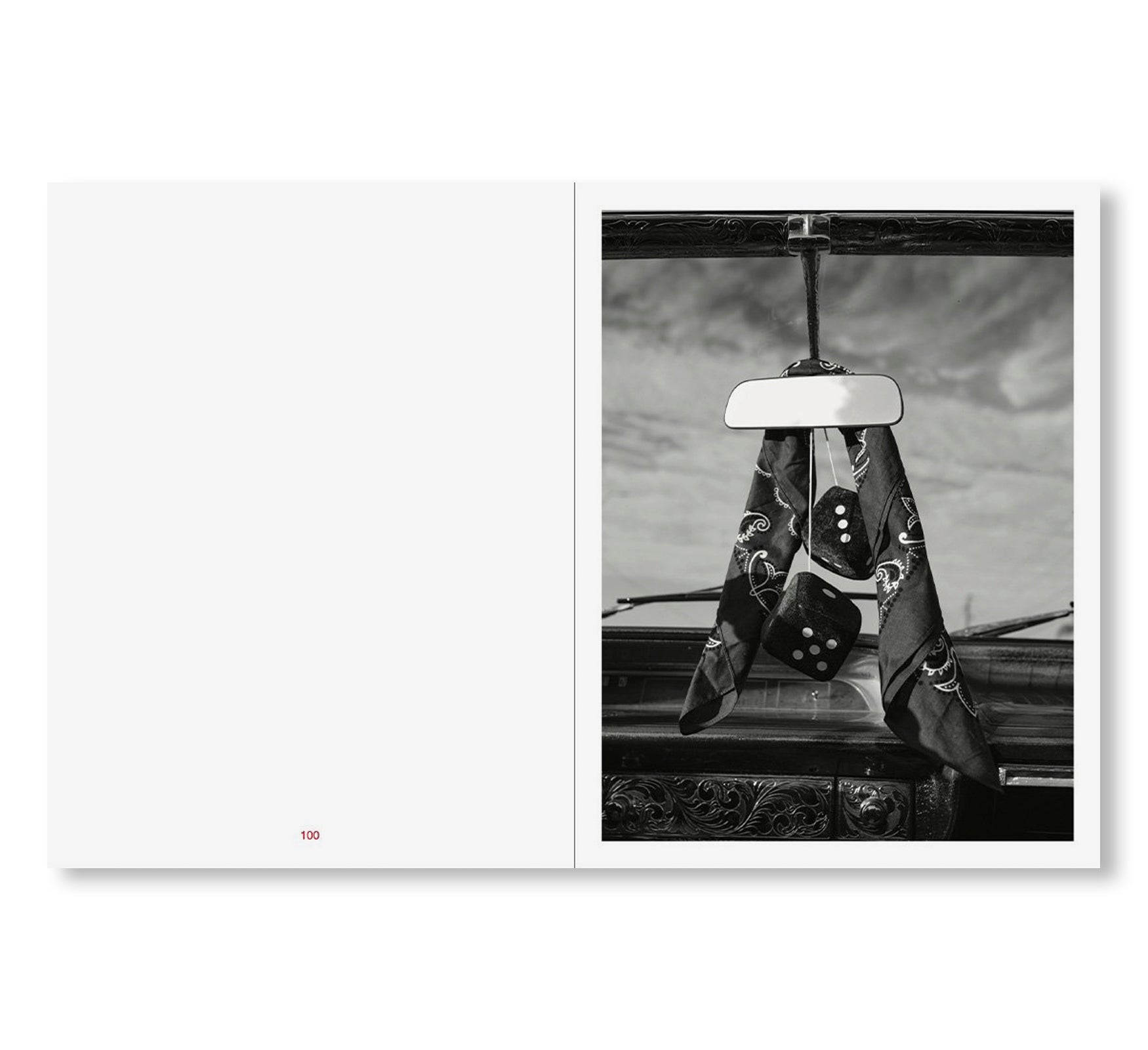 TIN LIZARDS by Robert LeBlanc