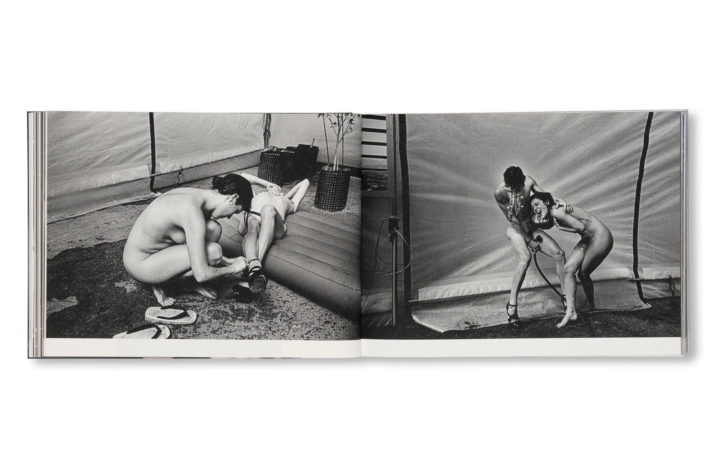 DANCING ON THE FAULT LINE by Nick Haymes