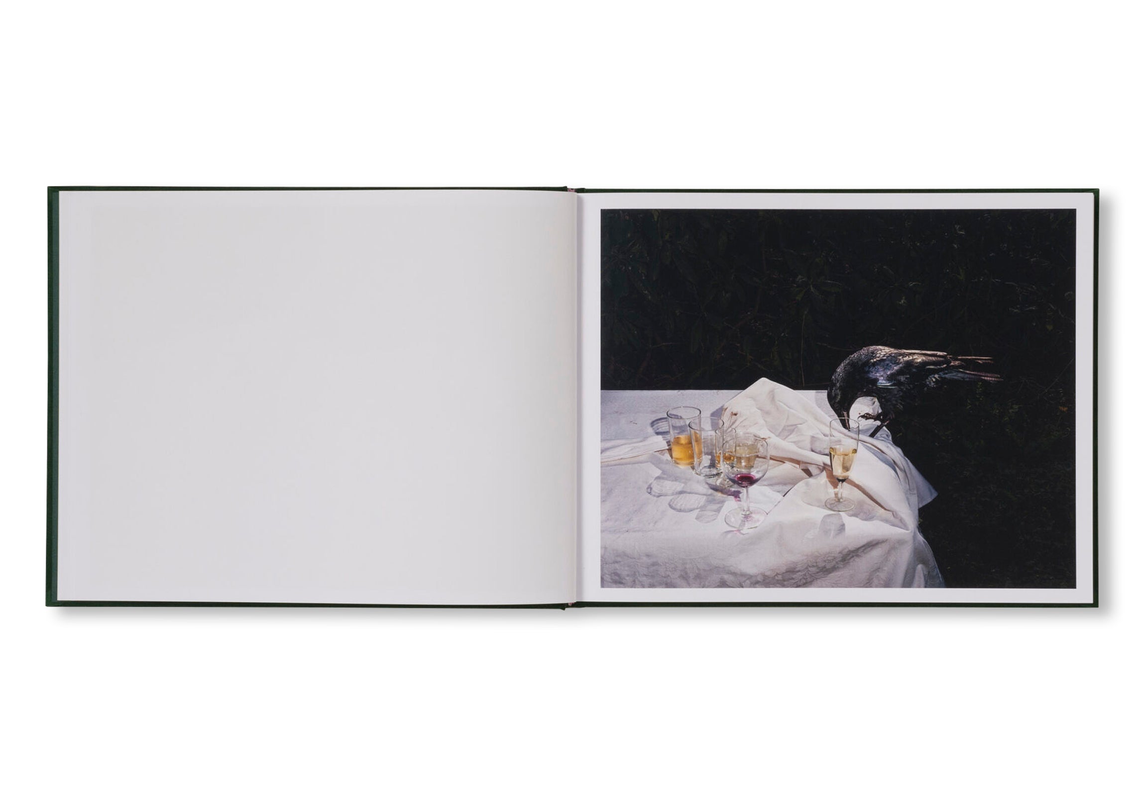 PLATES I-XXXI by Lia Darjes