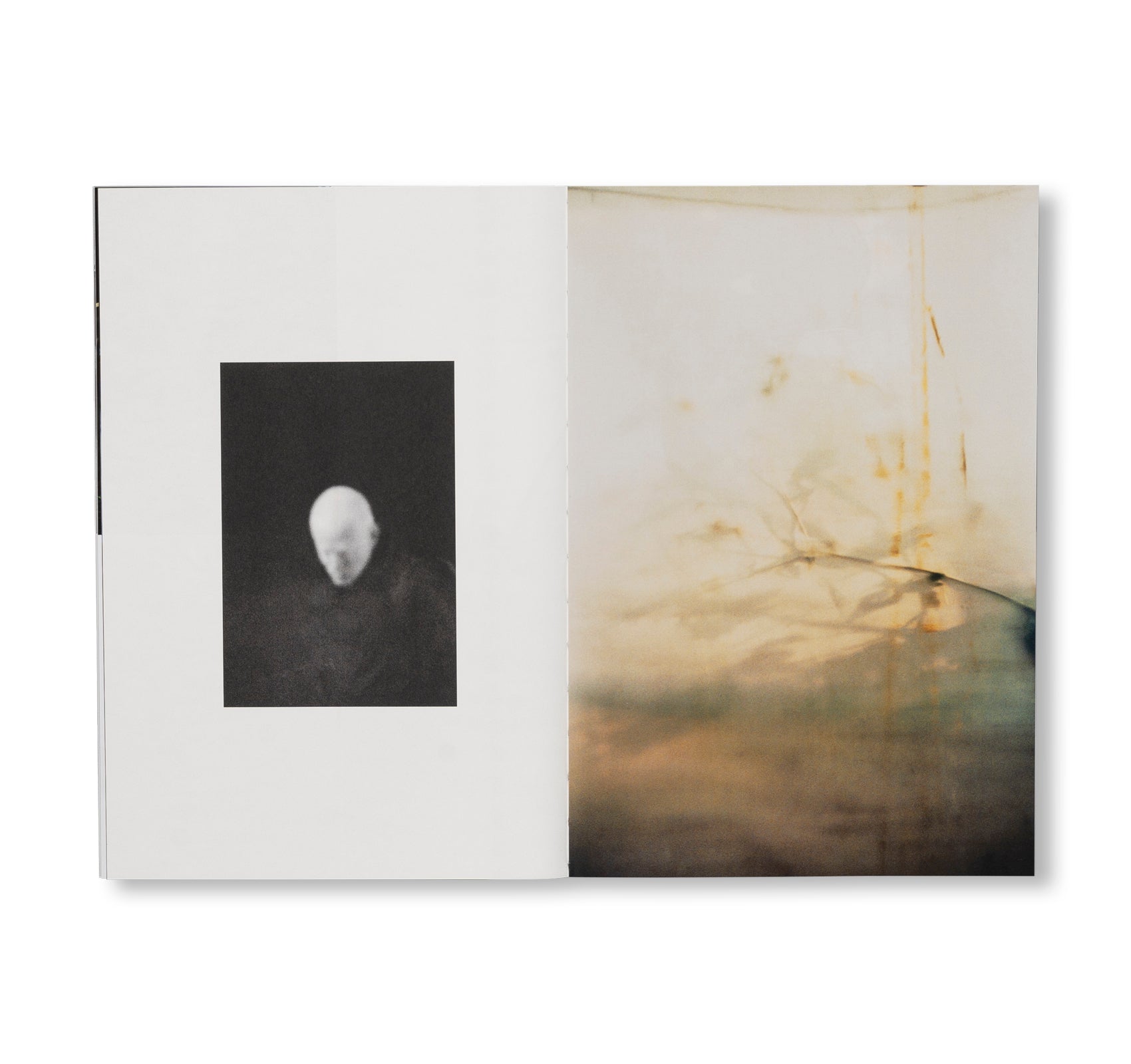 SEQUENCES by Yuichiro Noda